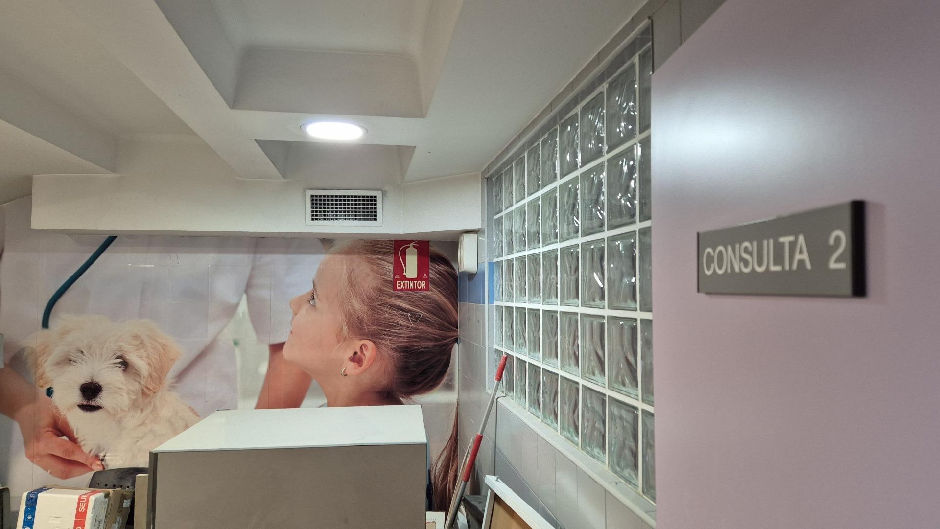 Negocios-Alquiler-Valencia-1763858-Foto-9