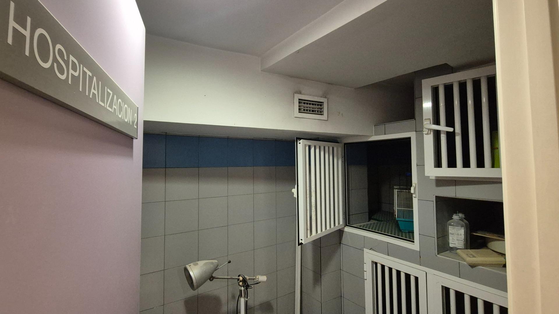 Negocios-Alquiler-Valencia-1763858-Foto-25