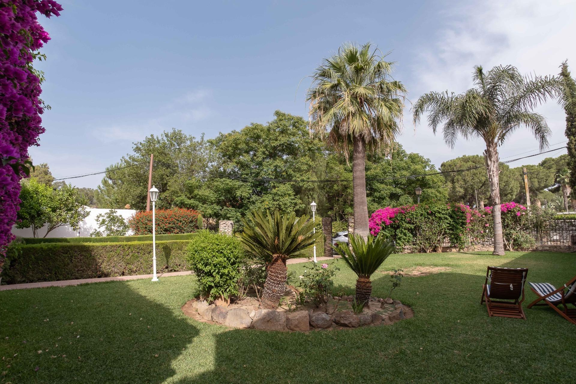 Casas o chalets-Venta-Carmona-1767093-Foto-44