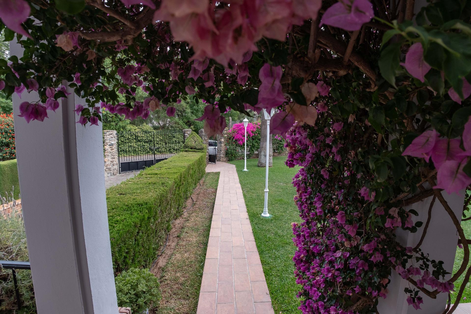 Casas o chalets-Venta-Carmona-1767093-Foto-53