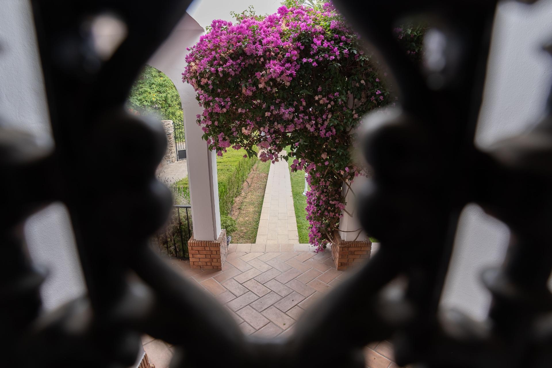 Casas o chalets-Venta-Carmona-1767093-Foto-65