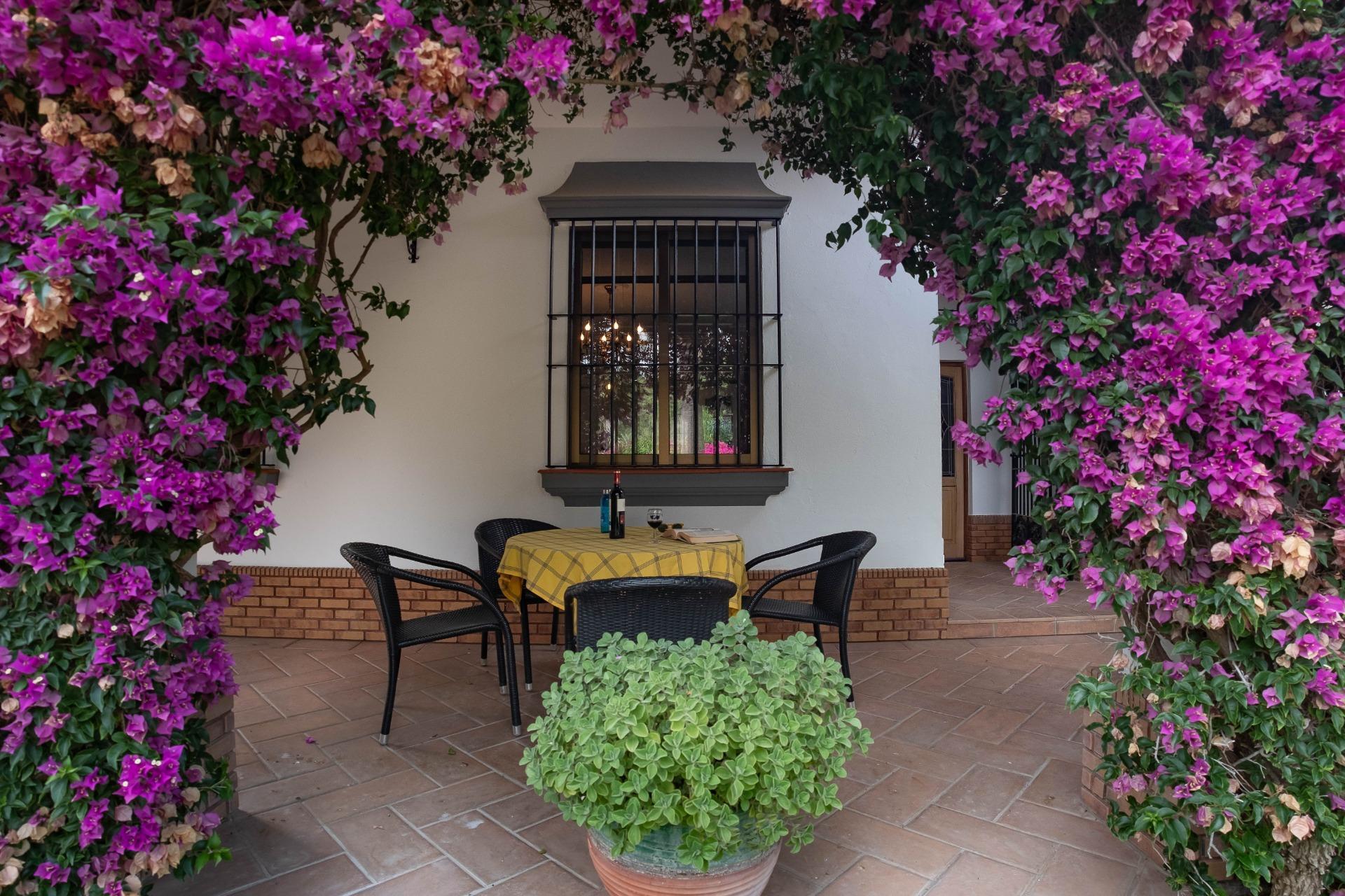 Casas o chalets-Venta-Carmona-1767093-Foto-63