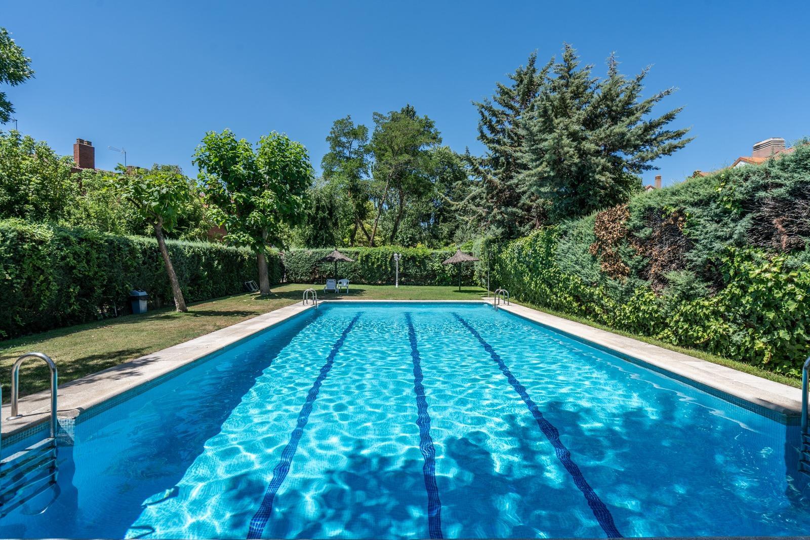 Casas o chalets-Alquiler-Las Rozas de Madrid-1767120
