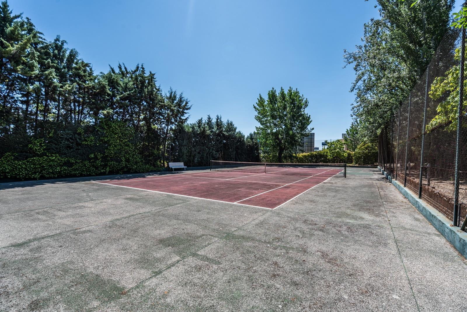 Casas o chalets-Alquiler-Las Rozas de Madrid-1767120-Foto-24
