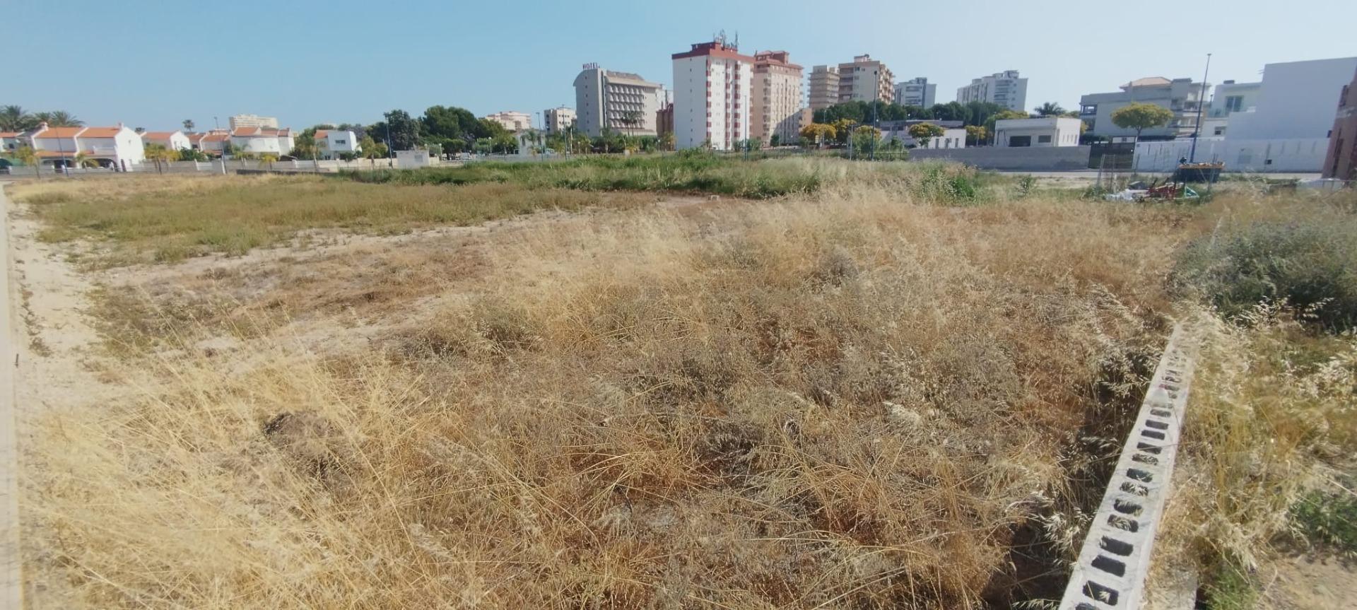 Fincas y solares-Venta-Miramar-1747619-Foto-3