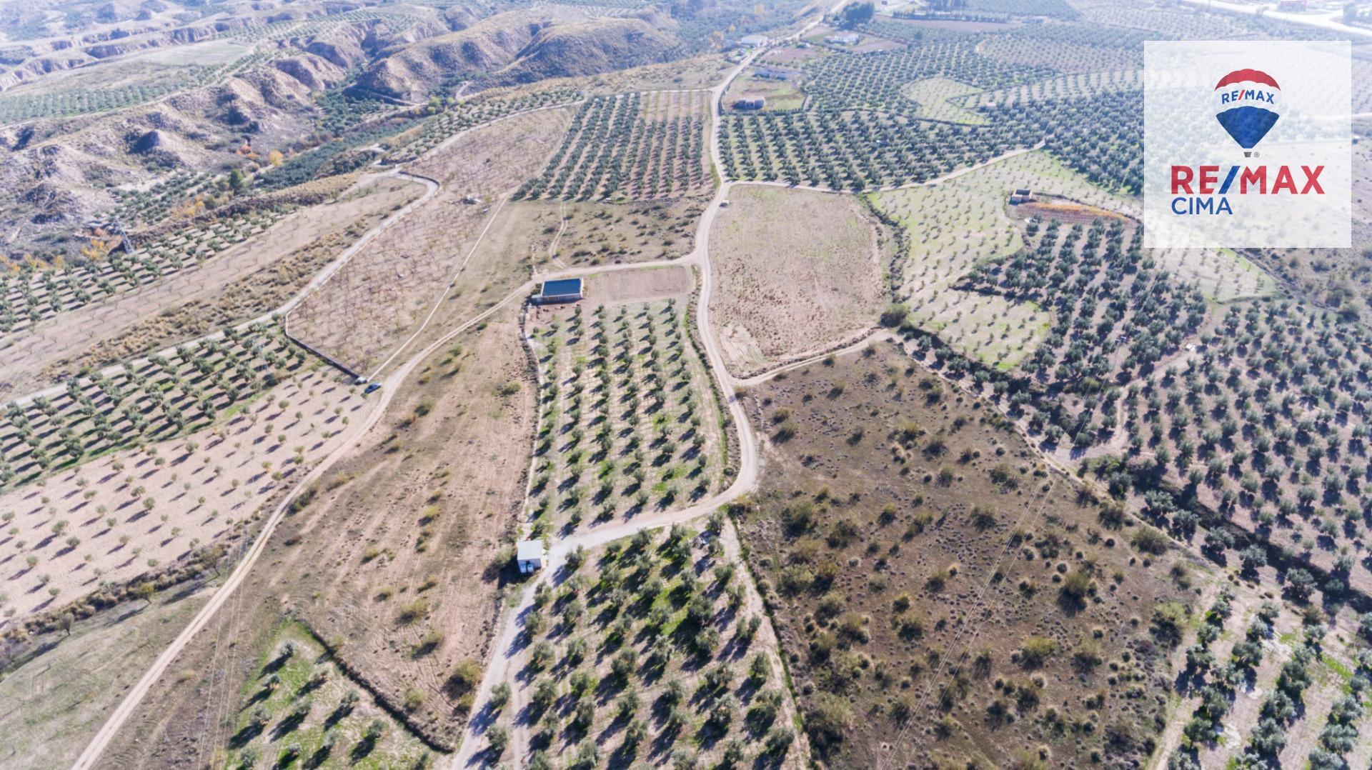 Fincas y solares-Venta-Freila-1501326-Foto-3