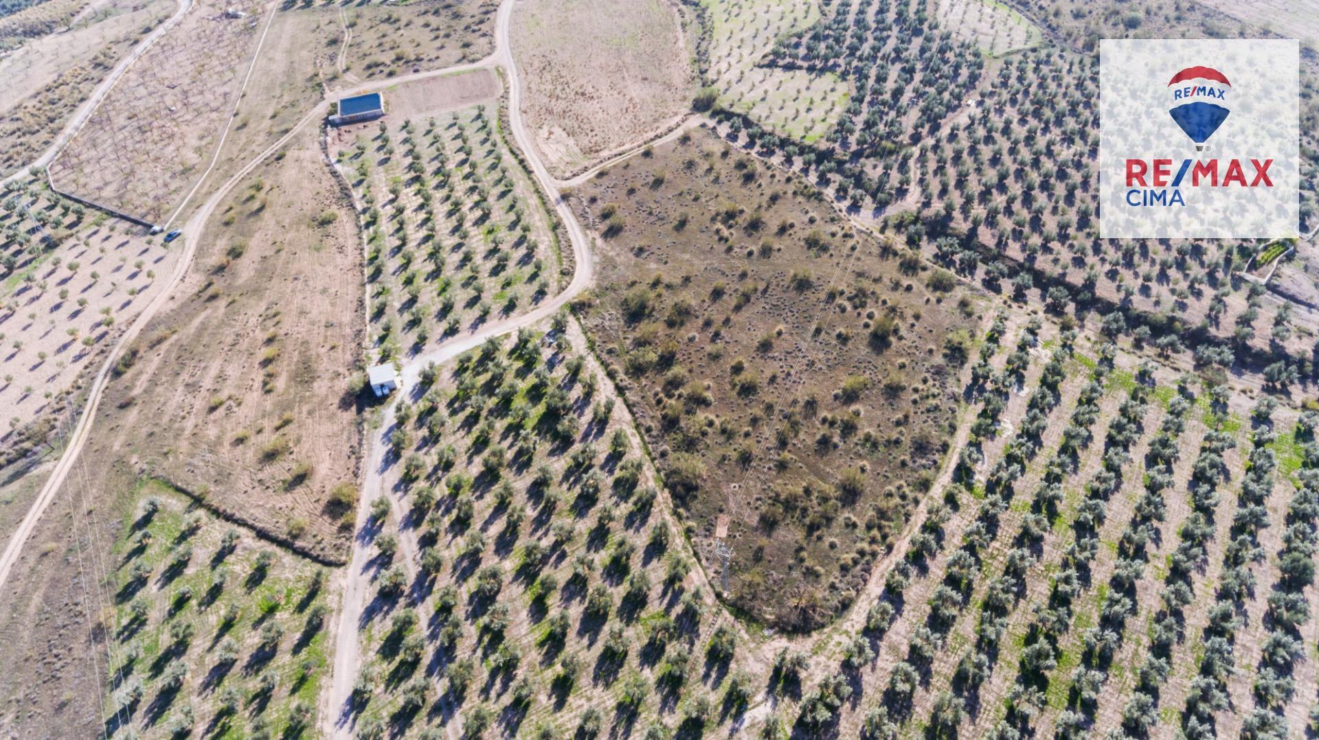 Fincas y solares-Venta-Freila-1501326