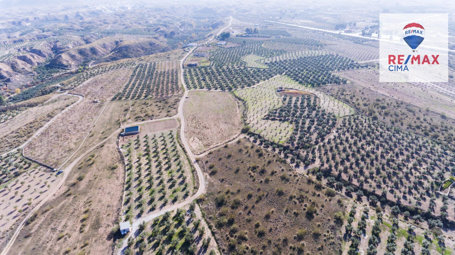 Fincas y solares-Venta-Freila-1501326-Foto-8