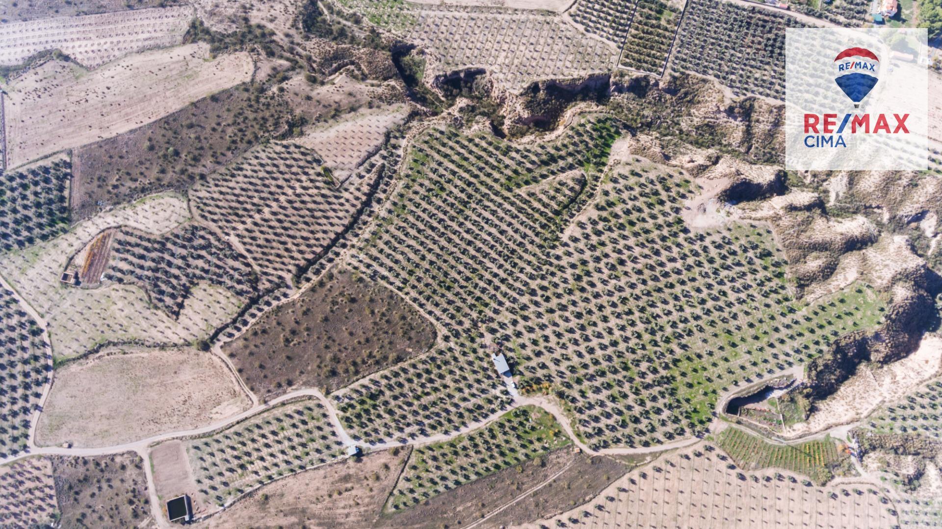 Fincas y solares-Venta-Freila-1501326-Foto-12