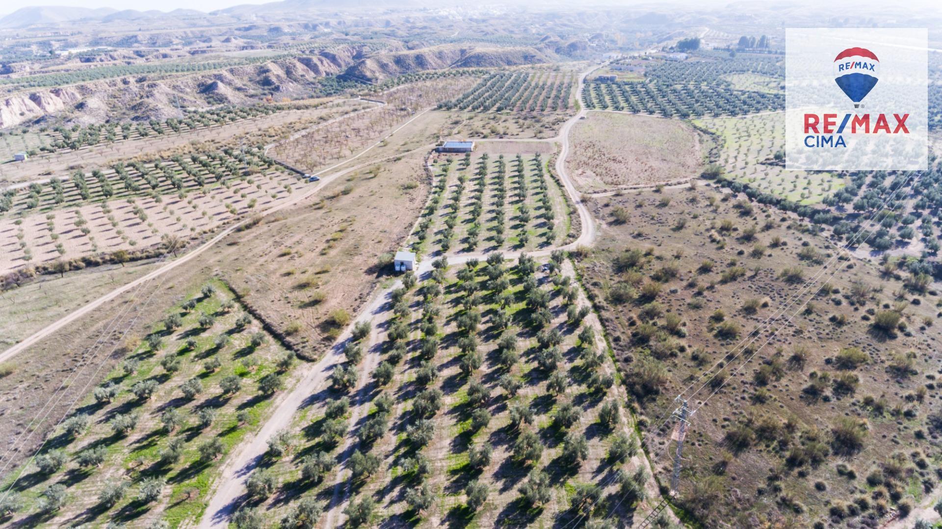 Fincas y solares-Venta-Freila-1501326-Foto-10