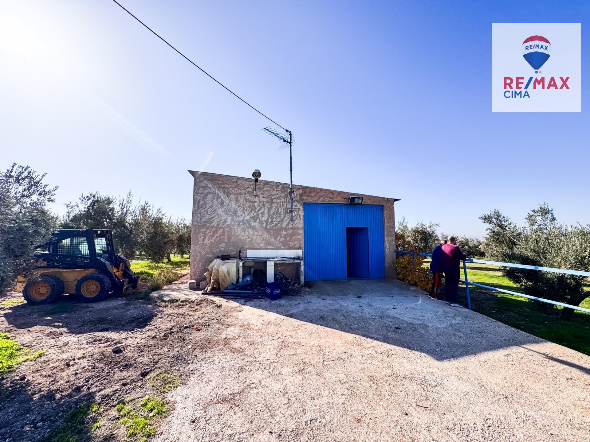 Fincas y solares-Venta-Freila-1501326-Foto-14