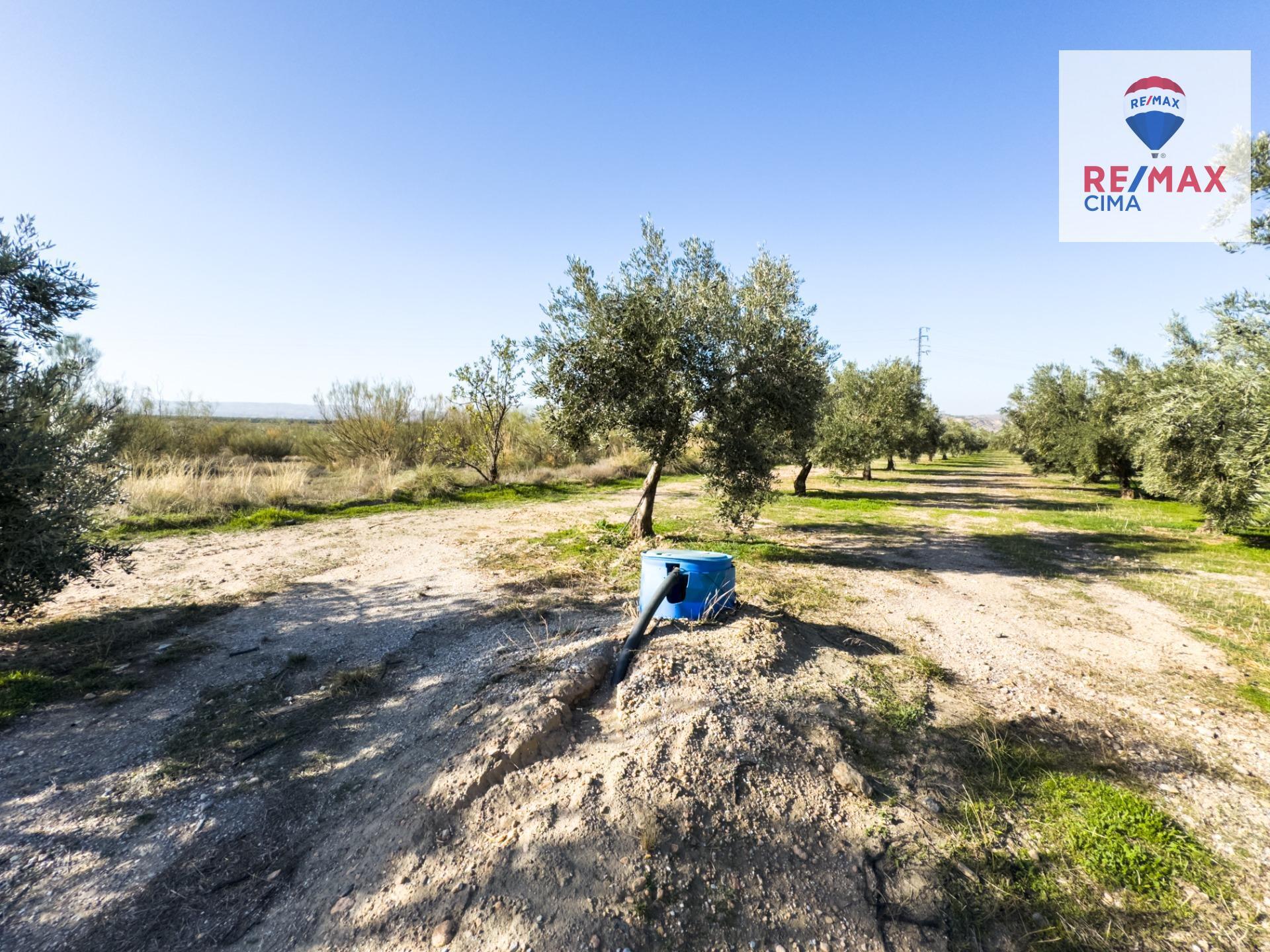 Fincas y solares-Venta-Freila-1501326-Foto-18