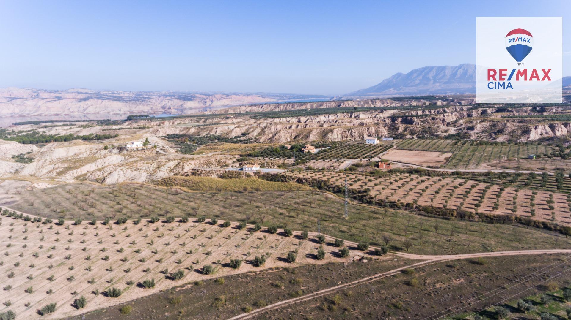 Fincas y solares-Venta-Freila-1501326-Foto-19