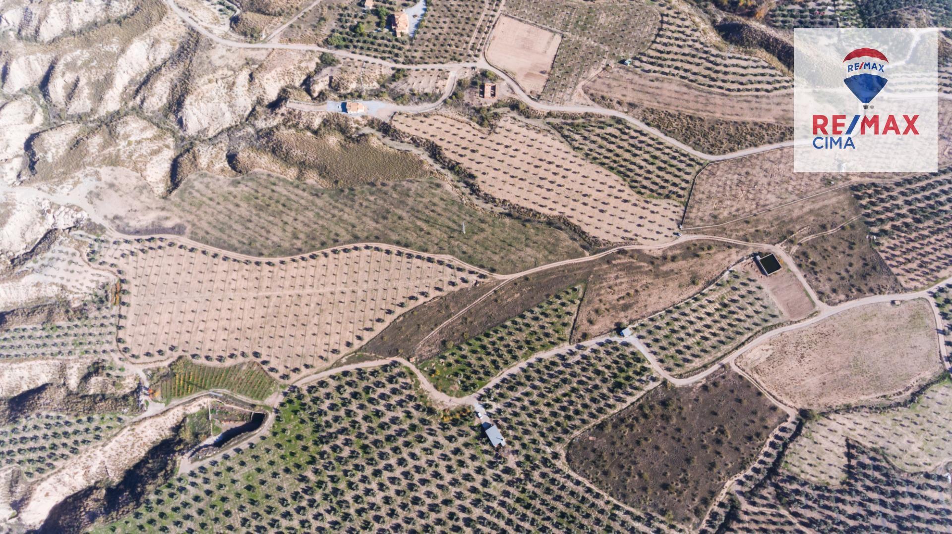 Fincas y solares-Venta-Freila-1501326-Foto-25