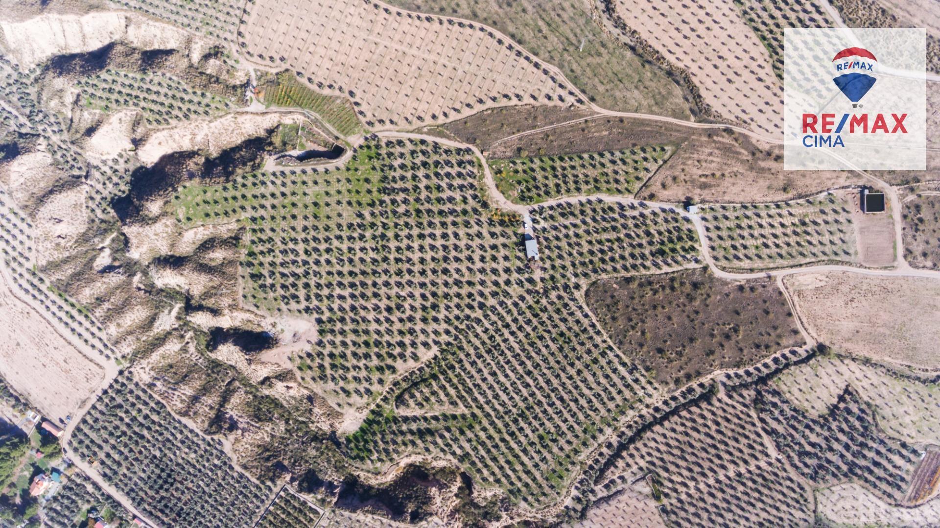 Fincas y solares-Venta-Freila-1501326-Foto-30