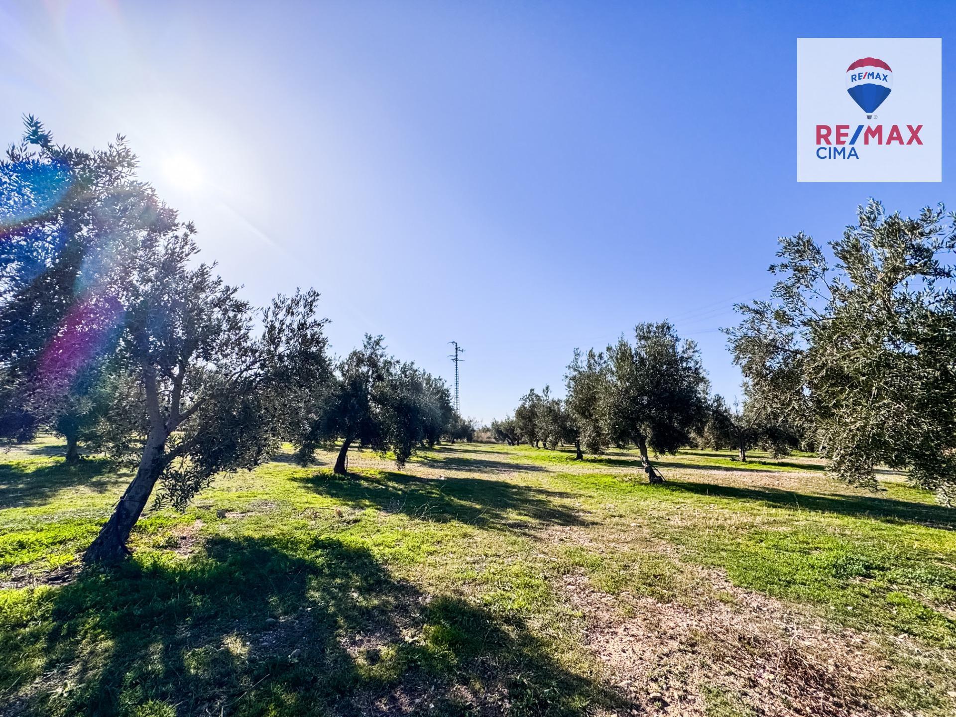 Fincas y solares-Venta-Freila-1501326-Foto-32
