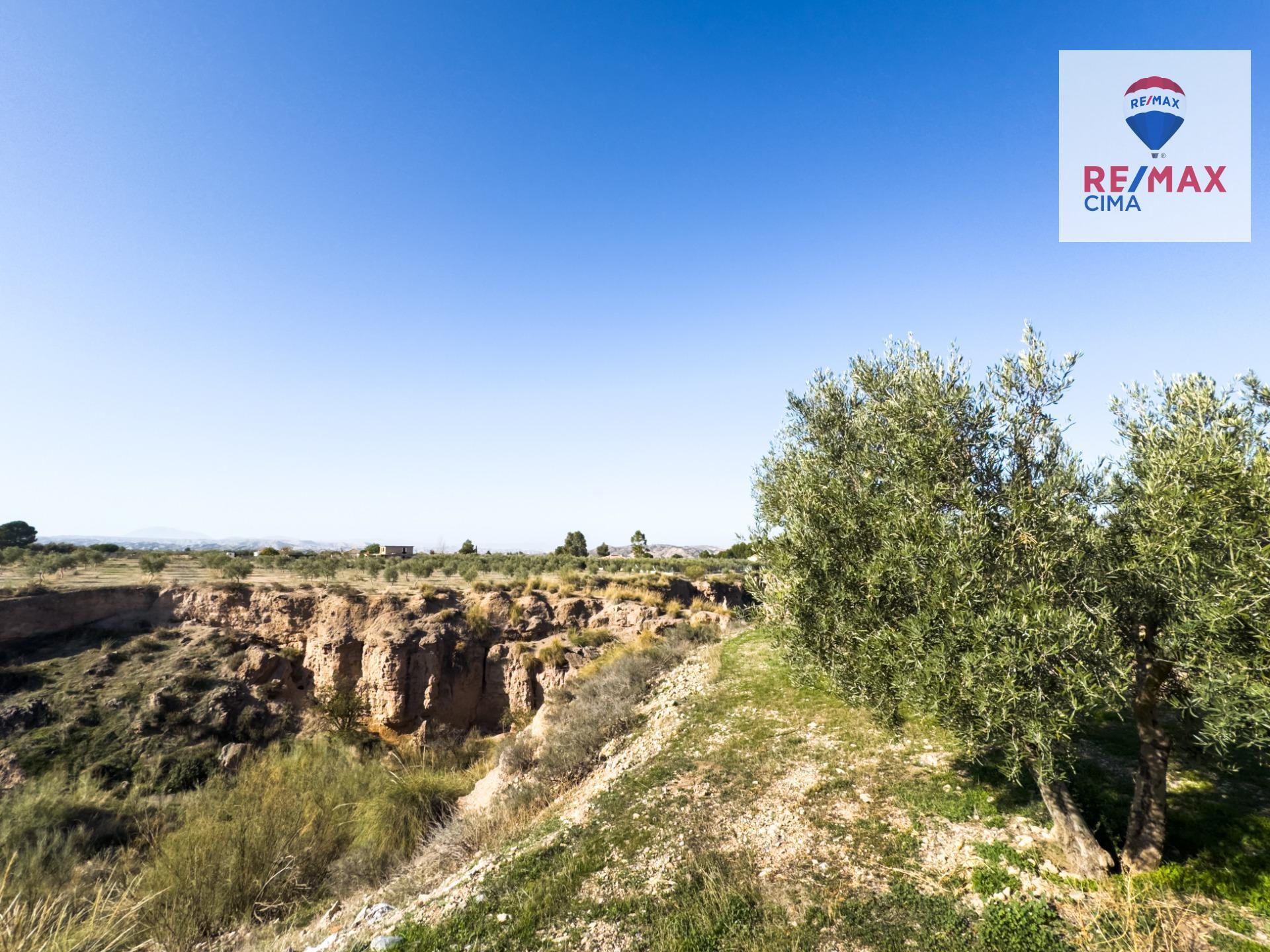 Fincas y solares-Venta-Freila-1501326-Foto-38