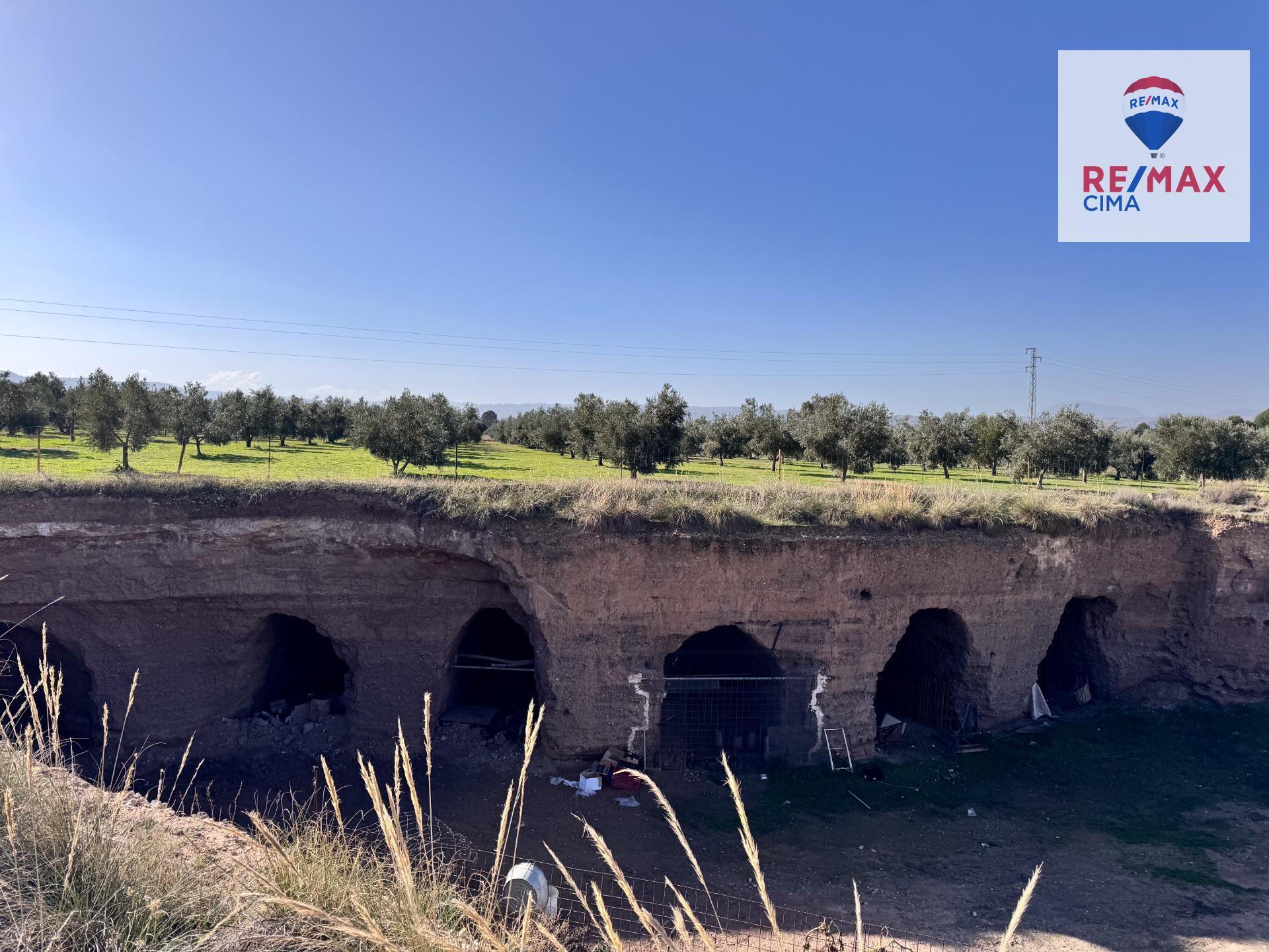 Fincas y solares-Venta-Freila-1501326-Foto-44