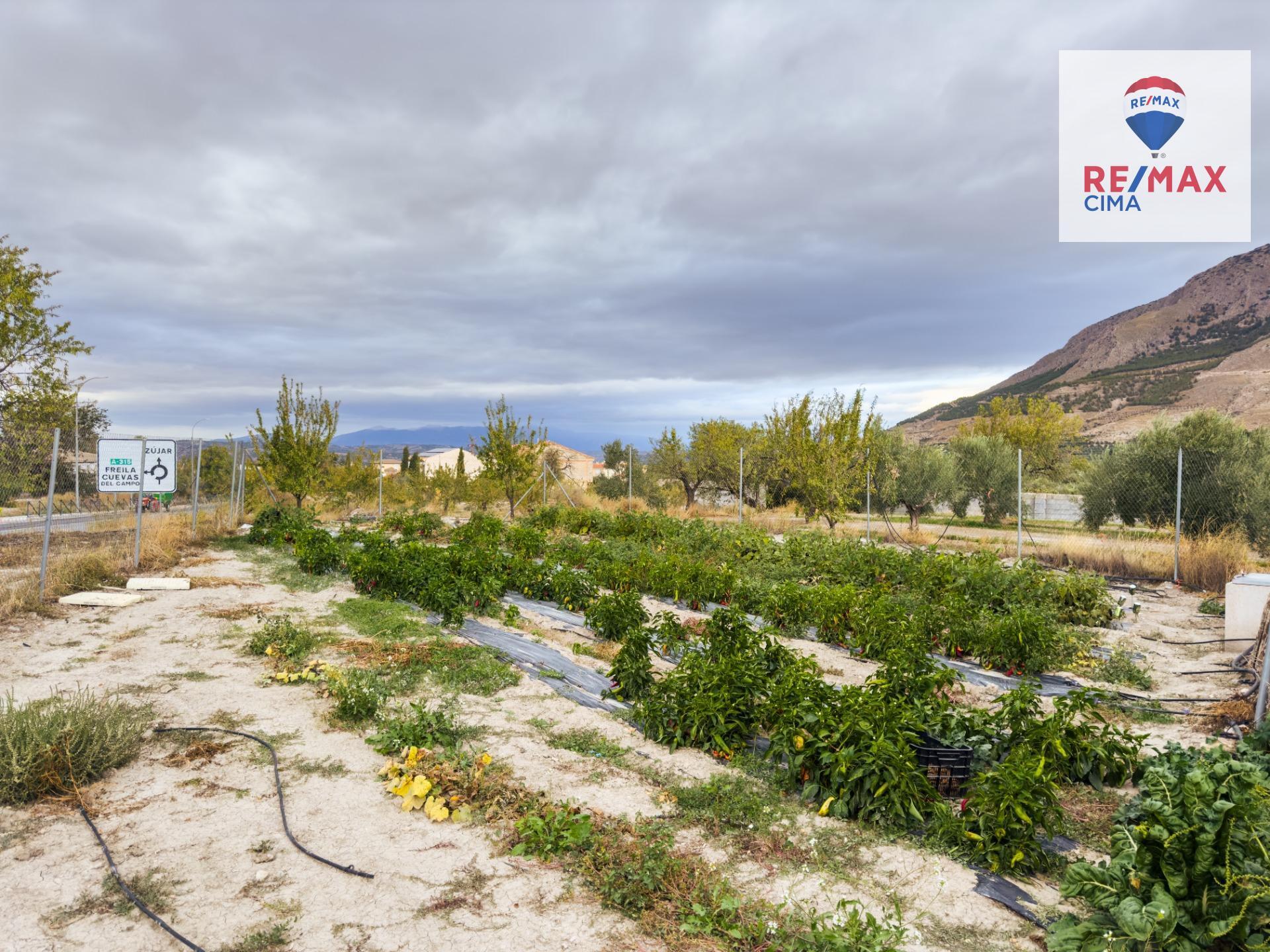 Fincas y solares-Venta-ZÃºjar-1426165-Foto-9