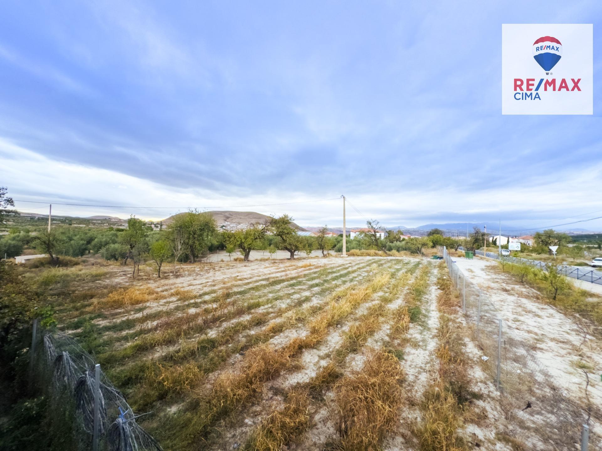 Fincas y solares-Venta-ZÃºjar-1426165-Foto-11