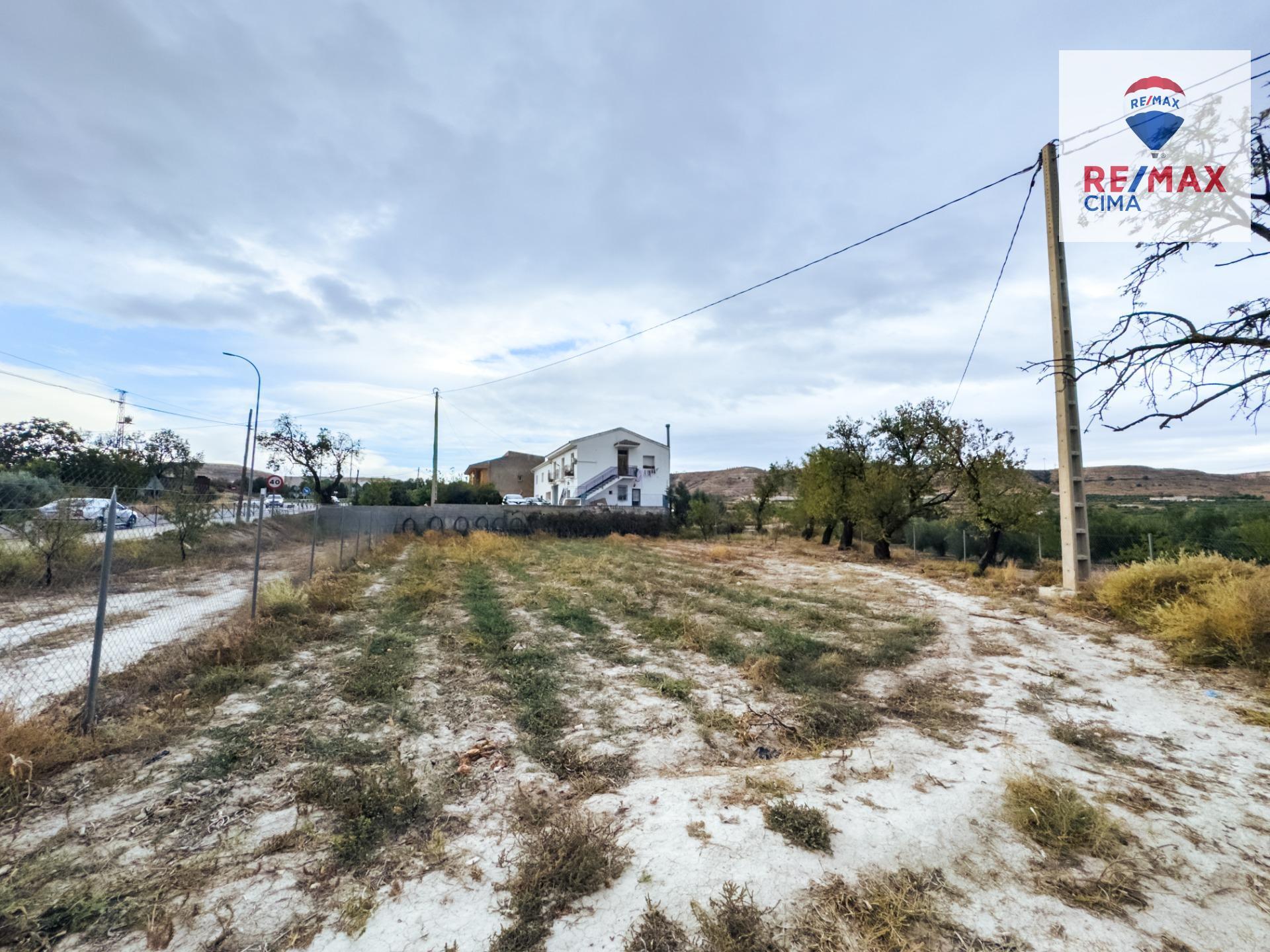 Fincas y solares-Venta-ZÃºjar-1426165-Foto-12