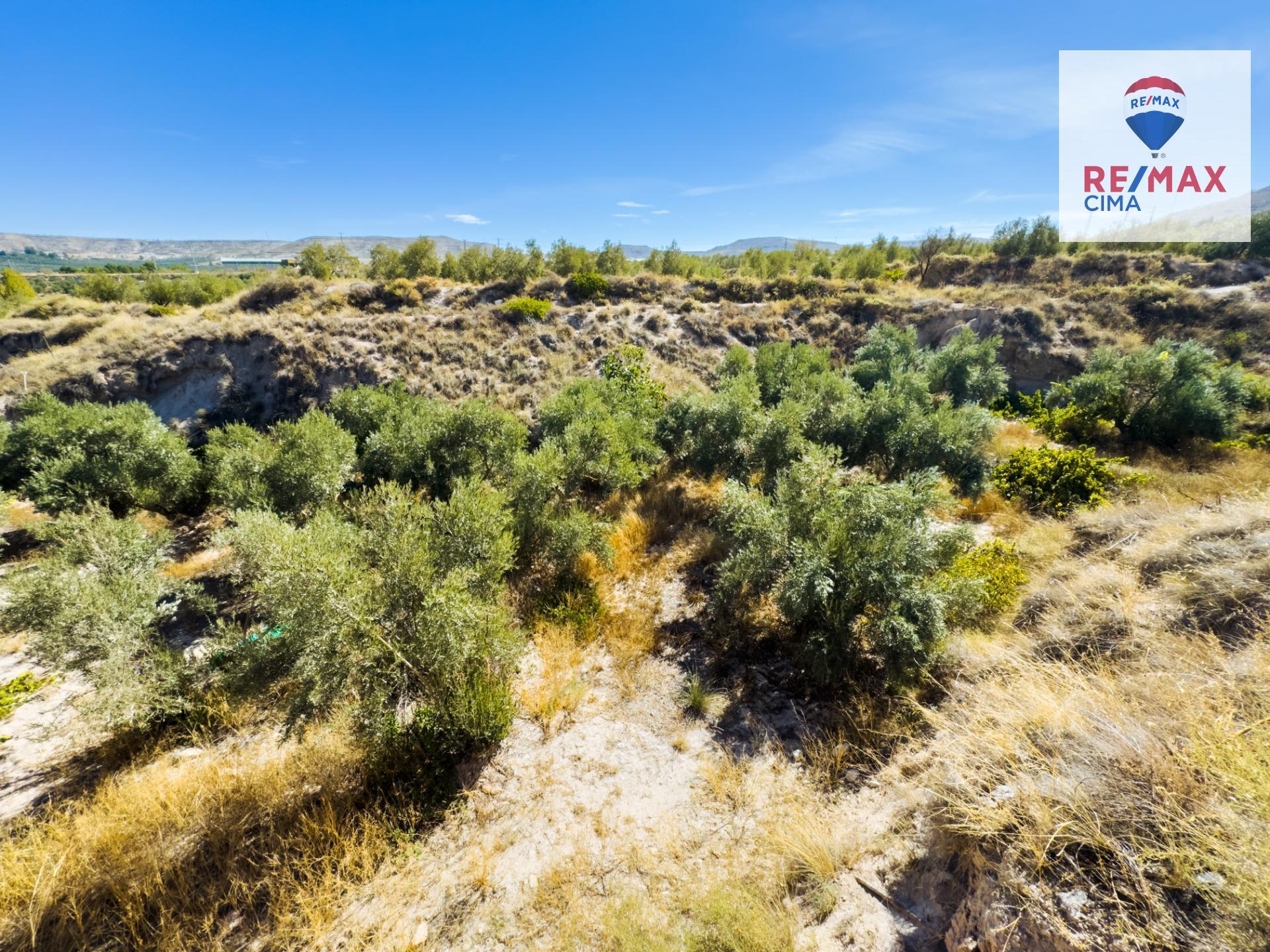 Fincas y solares-Venta-ZÃºjar-1420323-Foto-17