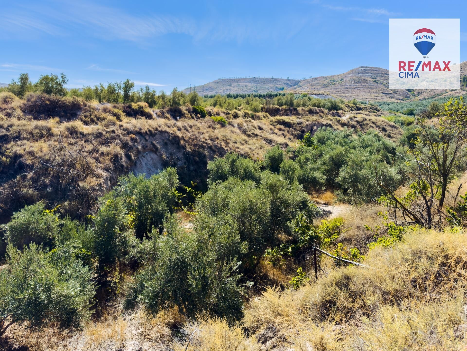 Fincas y solares-Venta-ZÃºjar-1420323-Foto-18