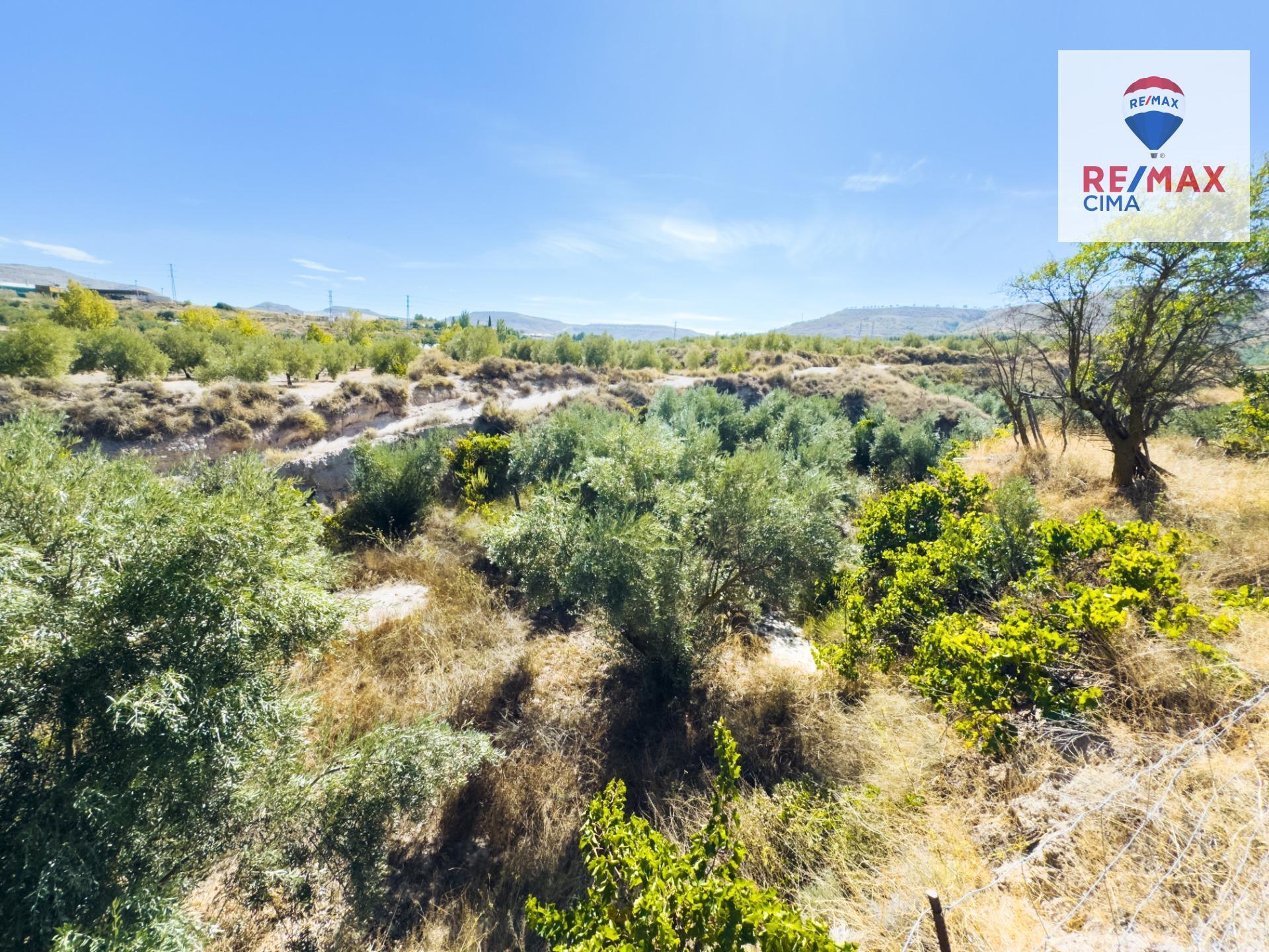 Fincas y solares-Venta-ZÃºjar-1420323-Foto-20