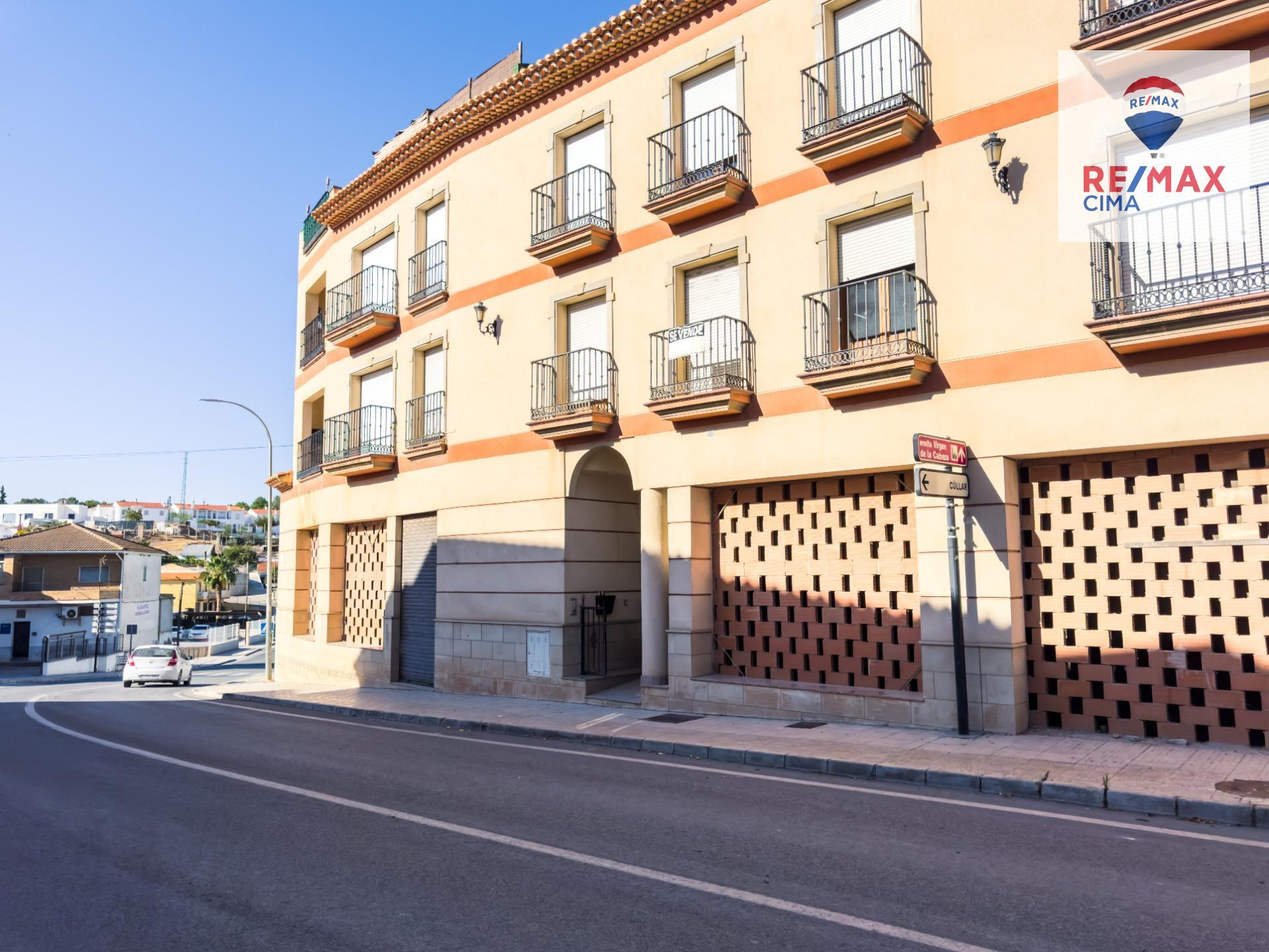 Pisos-Venta-Benamaurel-1402182-Foto-4