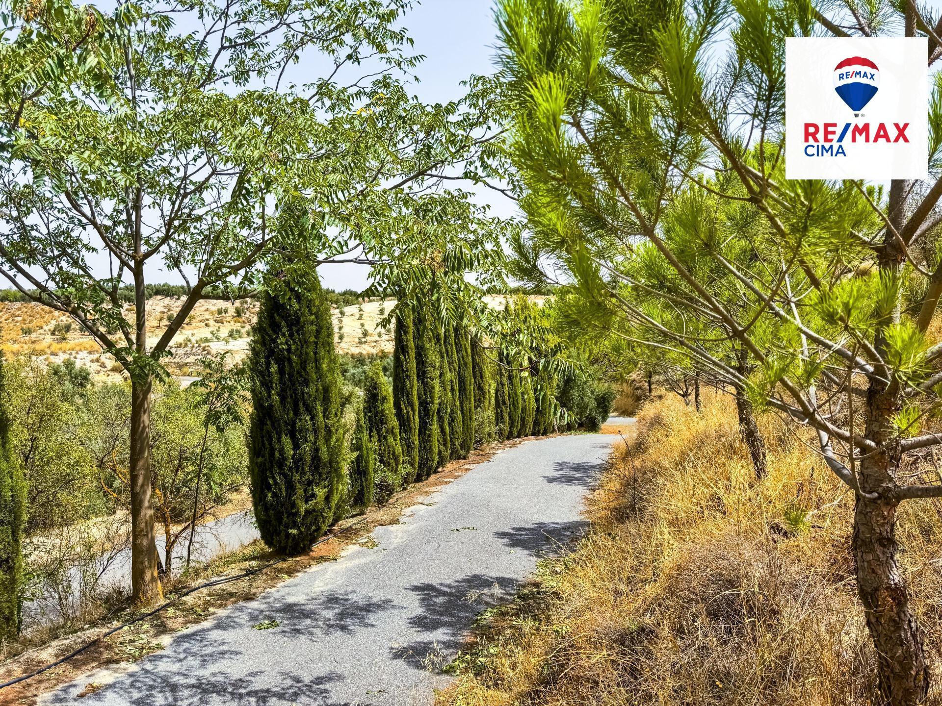 Casas o chalets-Venta-Cuevas del Campo-1480306-Foto-7