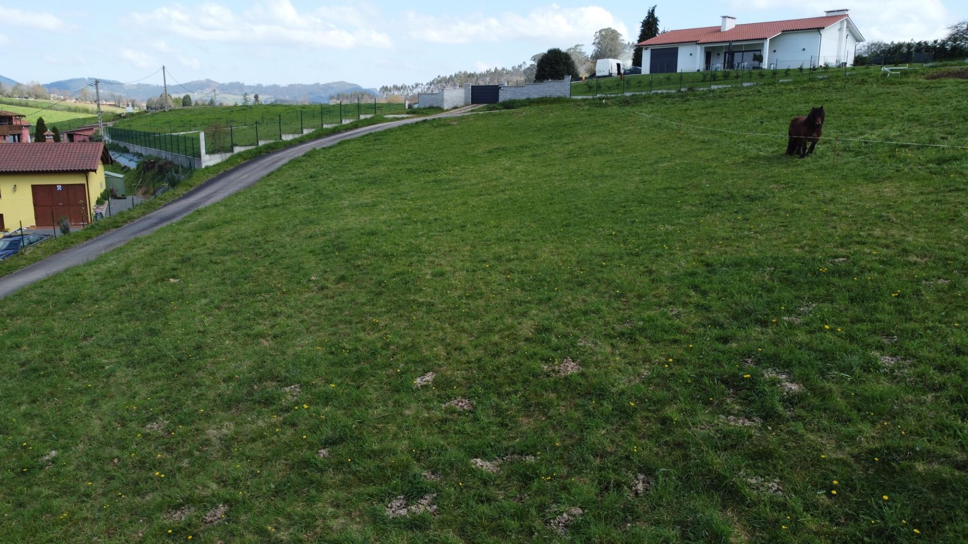 Fincas y solares-Venta-Las Regueras-1068790