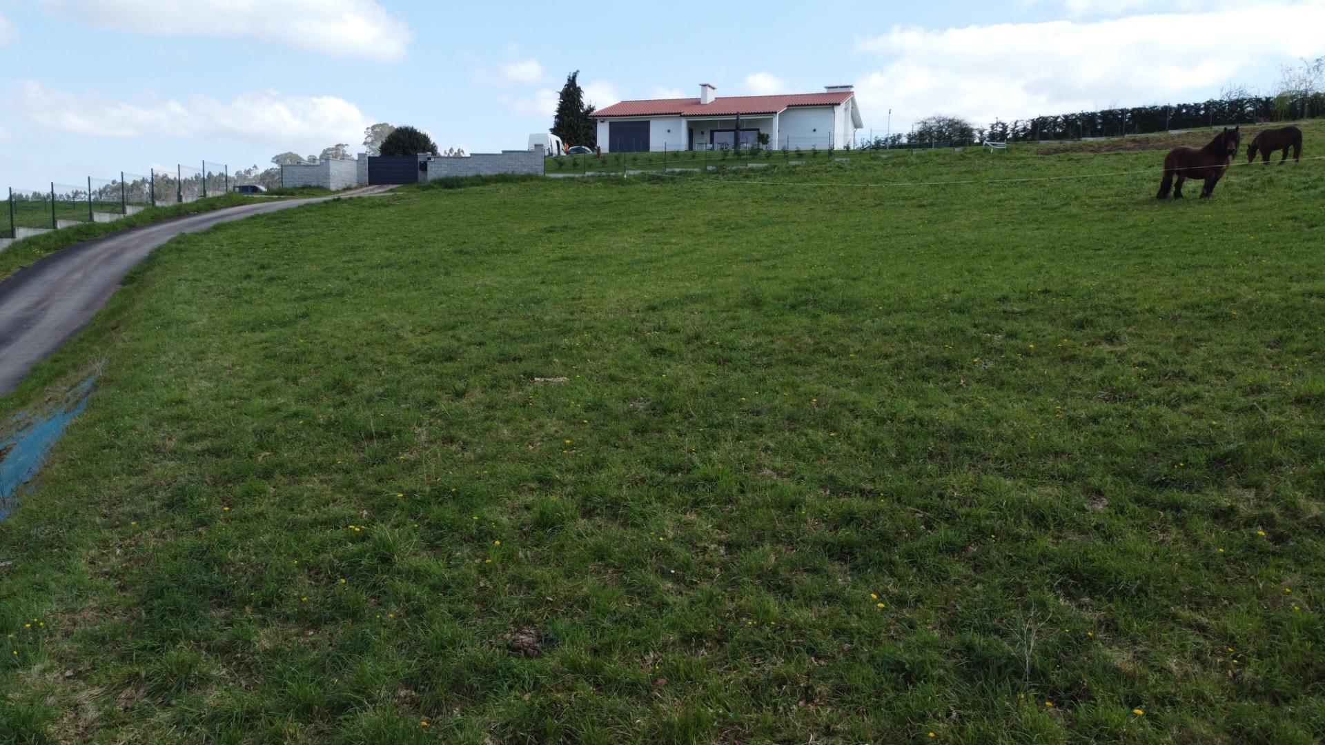 Fincas y solares-Venta-Las Regueras-1068790-Foto-8
