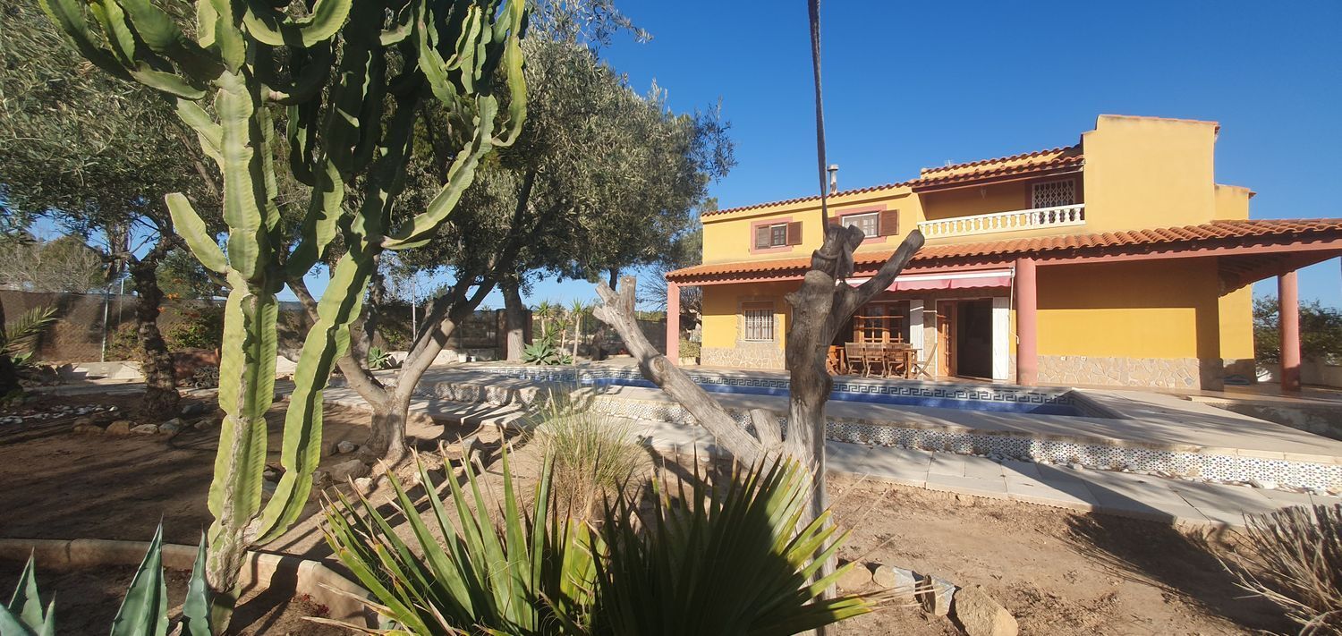 Casas o chalets-Venta-Murcia-1653353-Foto-3