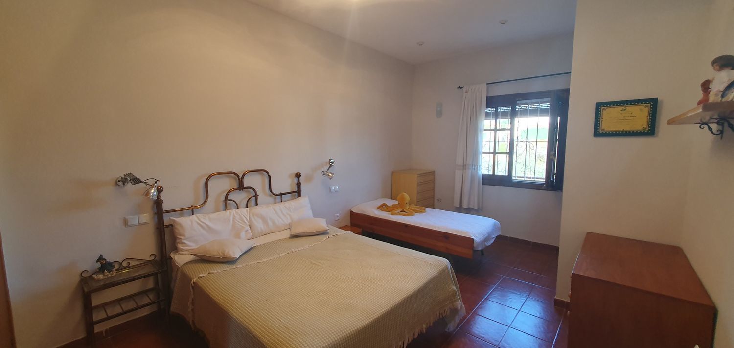 Casas o chalets-Venta-Murcia-1653353-Foto-13