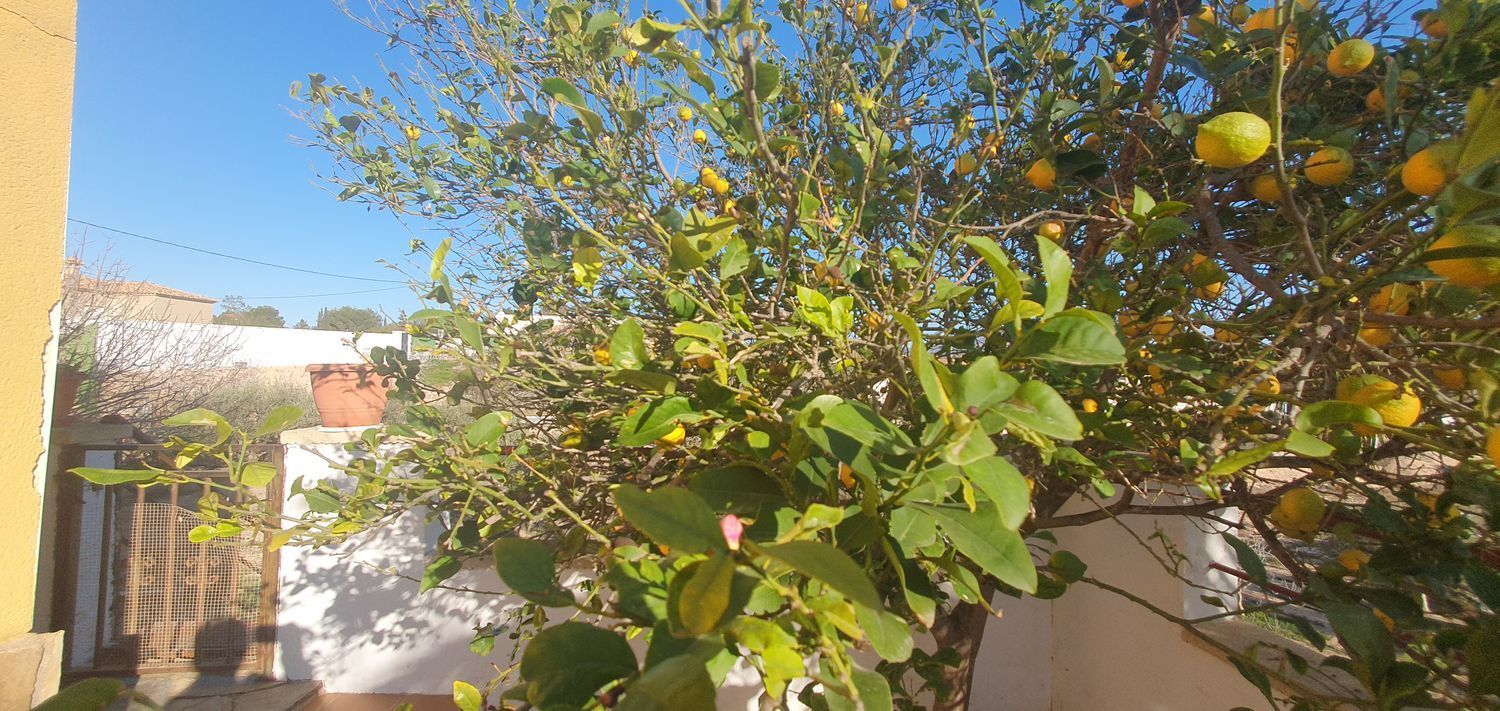 Casas o chalets-Venta-Murcia-1653353-Foto-32