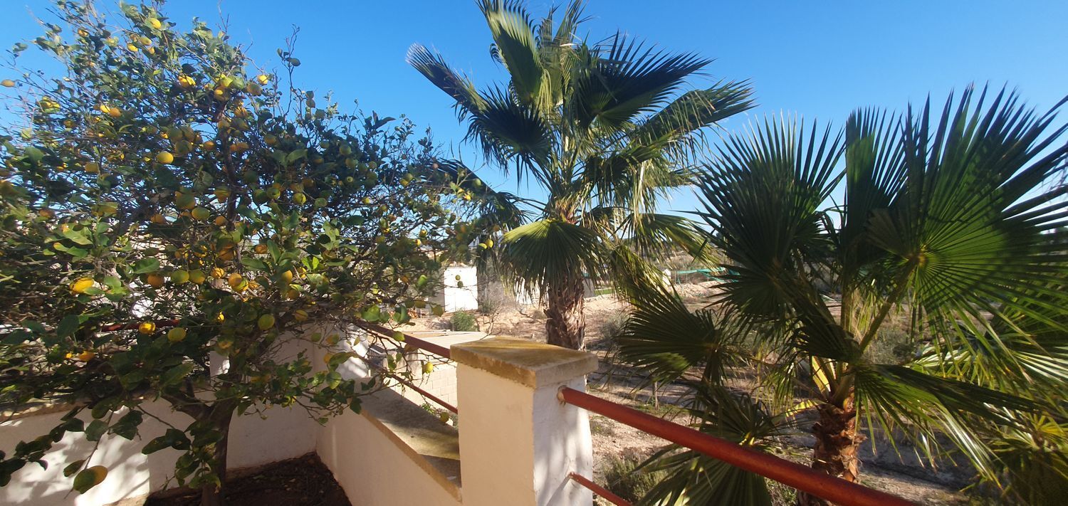 Casas o chalets-Venta-Murcia-1653353-Foto-31