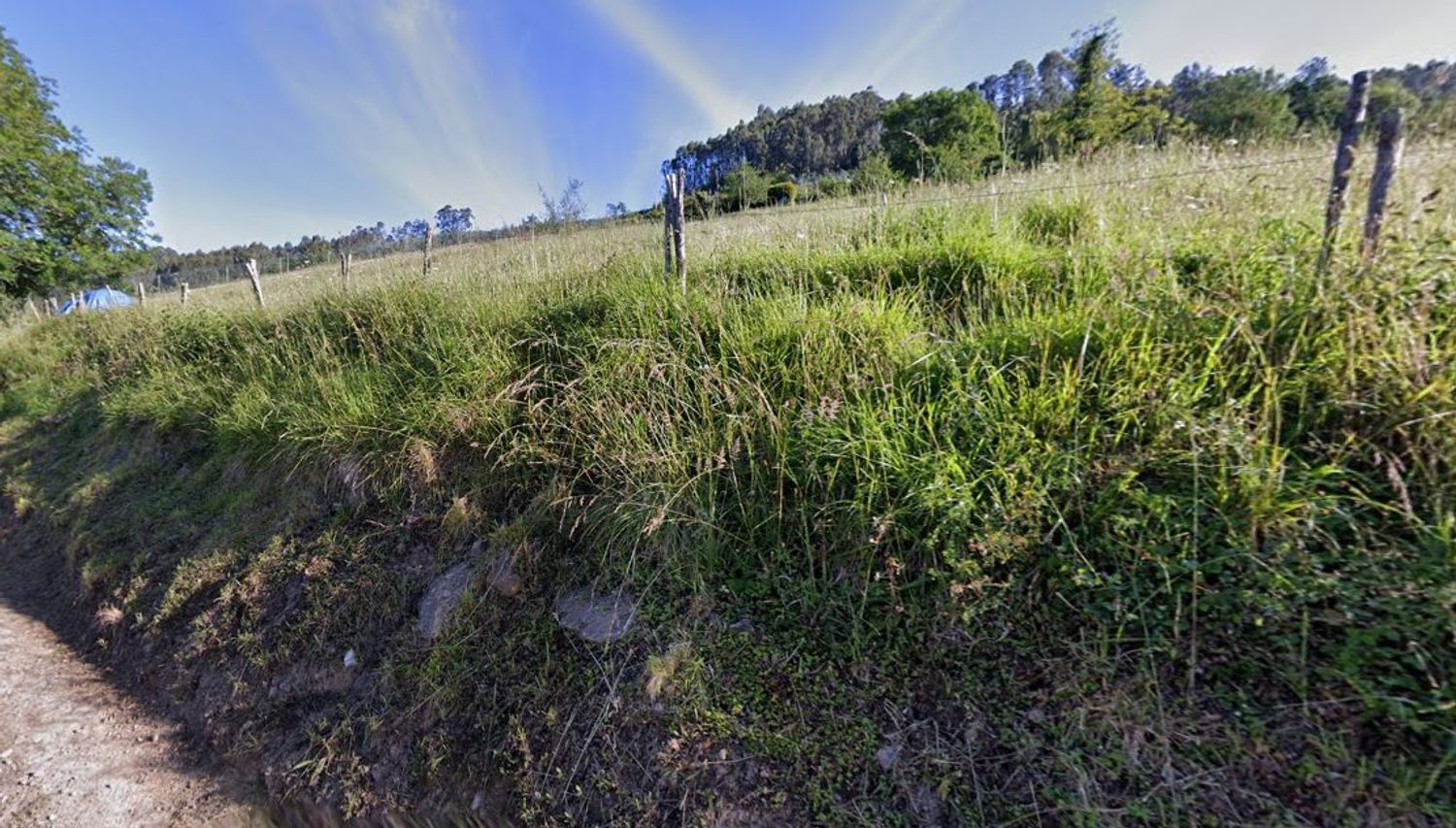 Fincas y solares-Venta-Villaviciosa-1767132-Foto-3