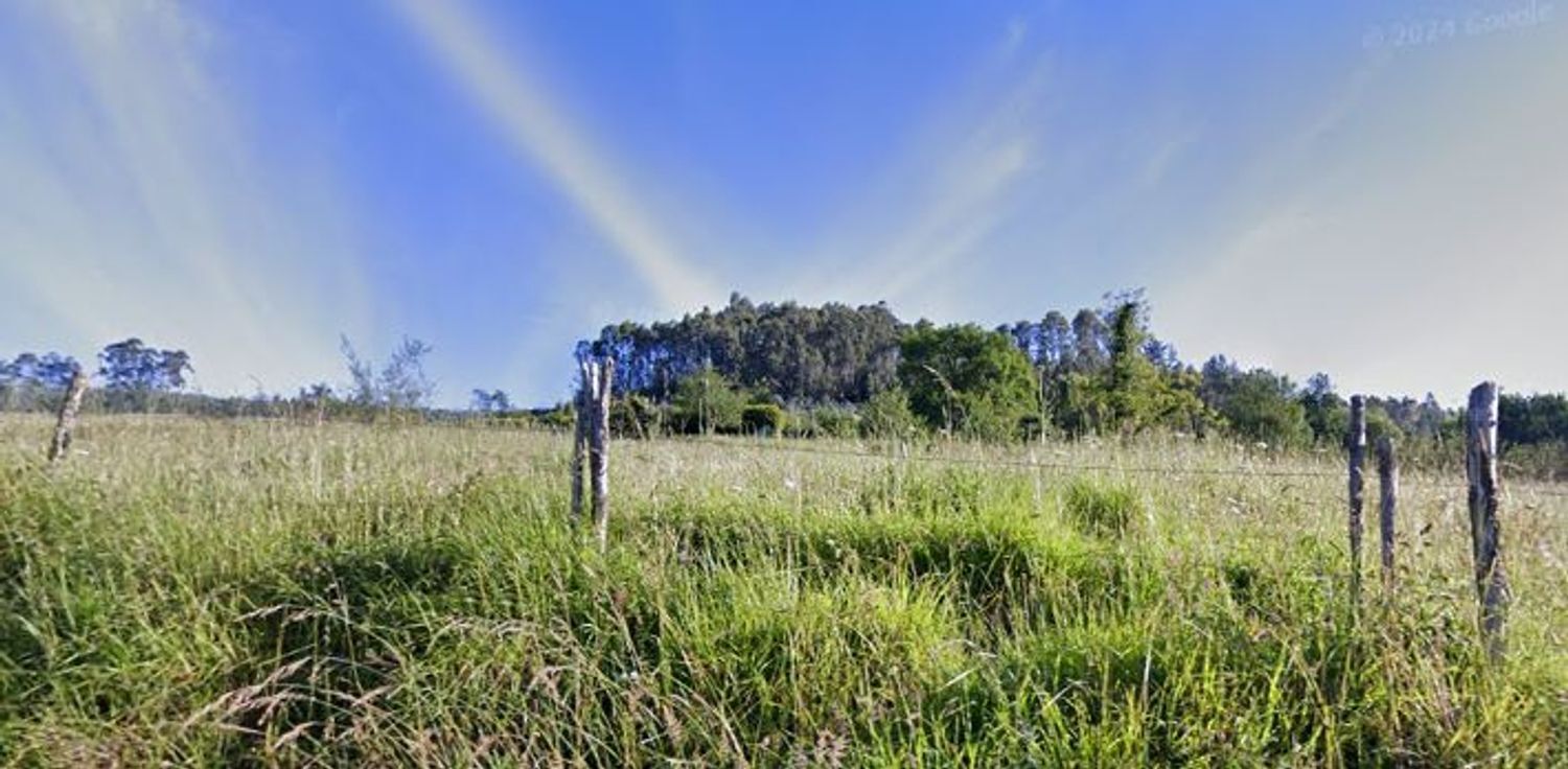 Fincas y solares-Venta-Villaviciosa-1767132-Foto-5