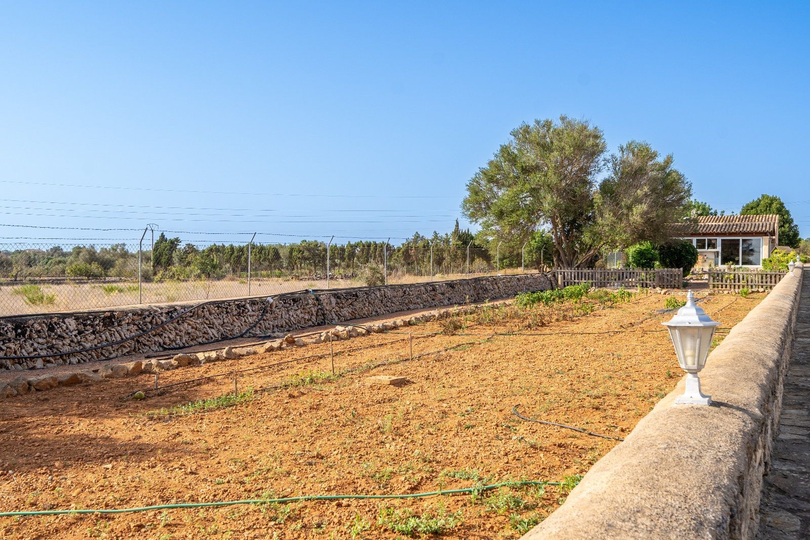 Casas o chalets-Venta-Santa Margalida-1501648-Foto-16