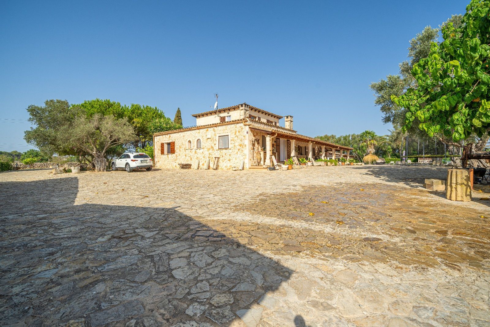 Casas o chalets-Venta-Santa Margalida-1501648-Foto-47