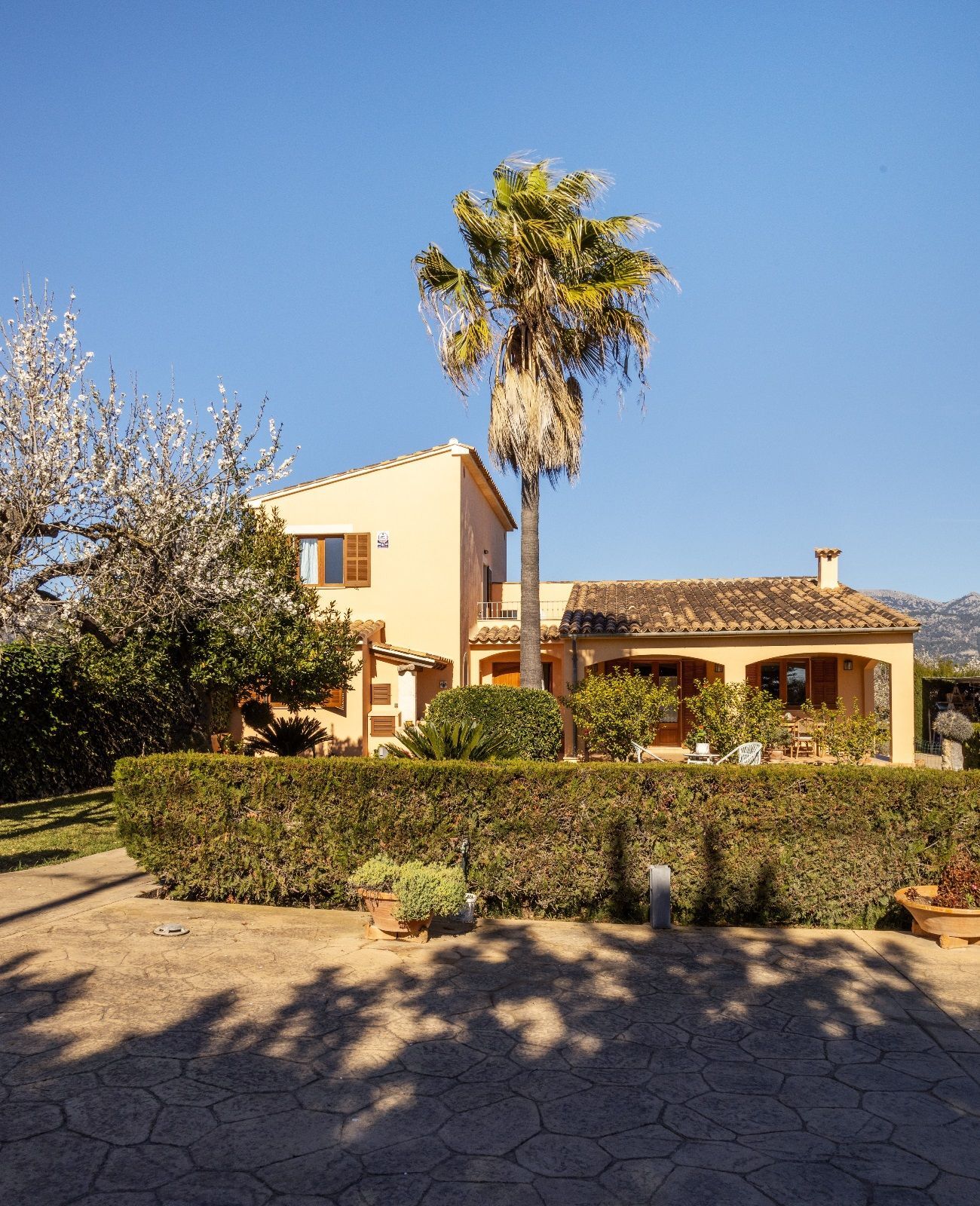 Casas o chalets-Venta-Inca-1052408-Foto-4
