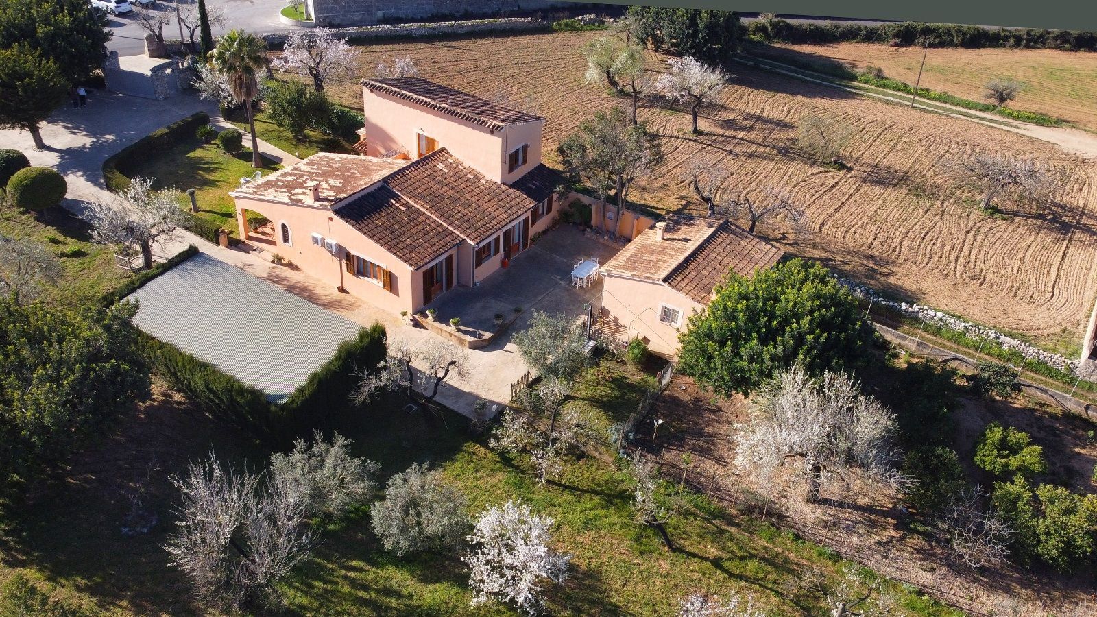 Casas o chalets-Venta-Inca-1052408-Foto-7