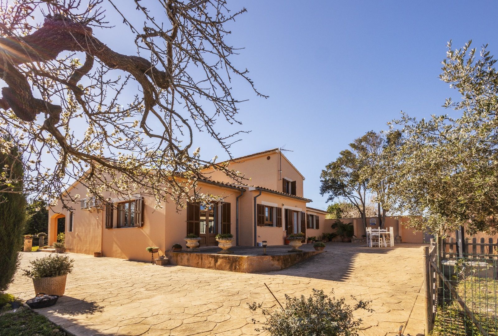 Casas o chalets-Venta-Inca-1052408-Foto-9