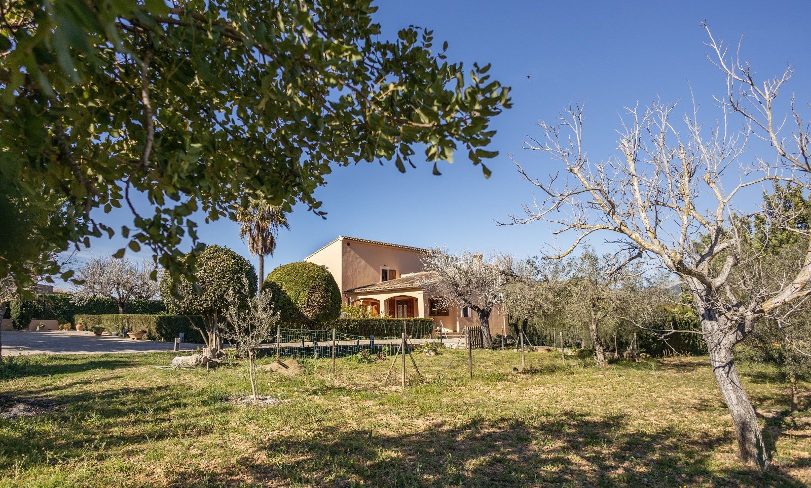 Casas o chalets-Venta-Inca-1052408-Foto-38
