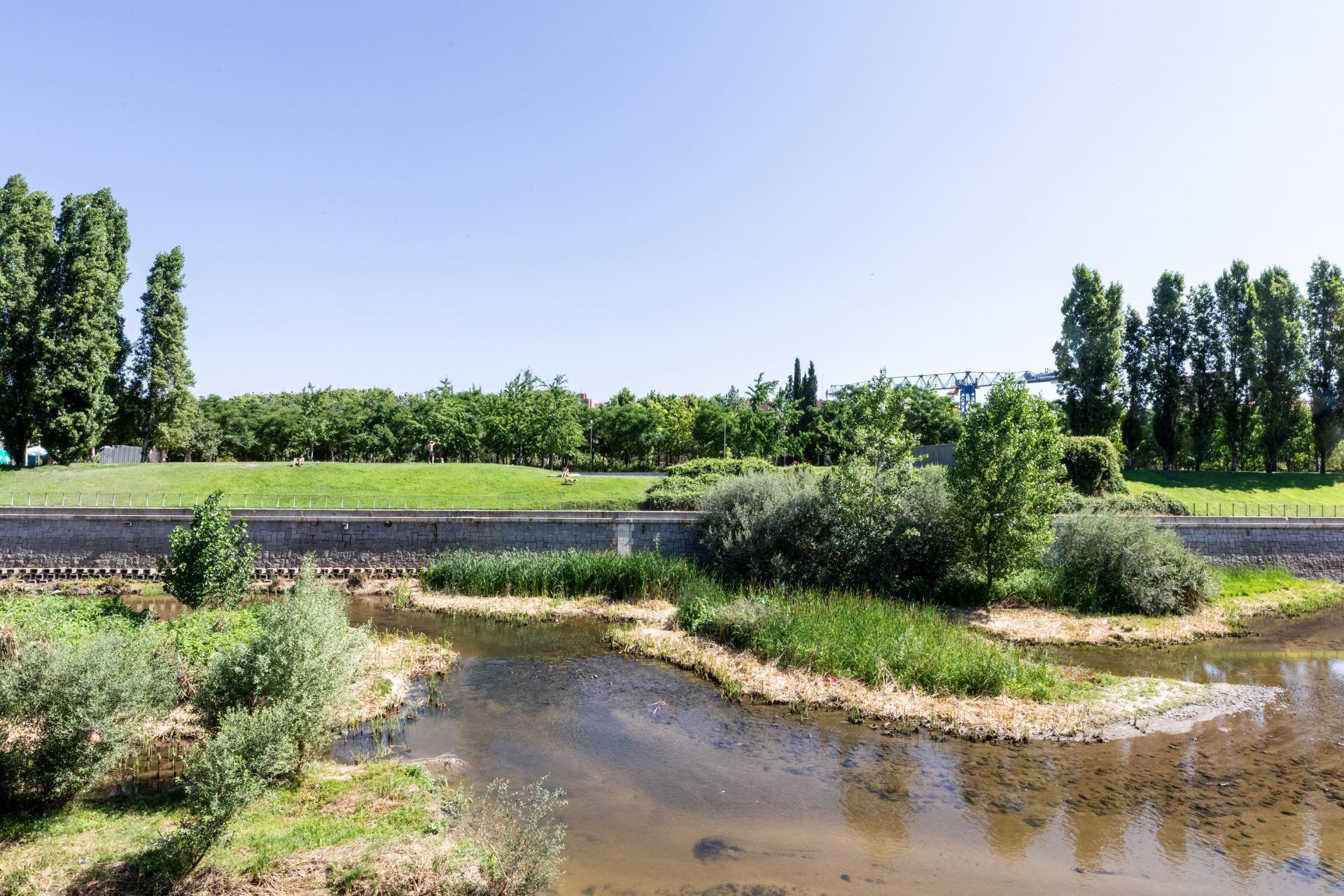 Pisos-Venta-Madrid-1767620-Foto-16