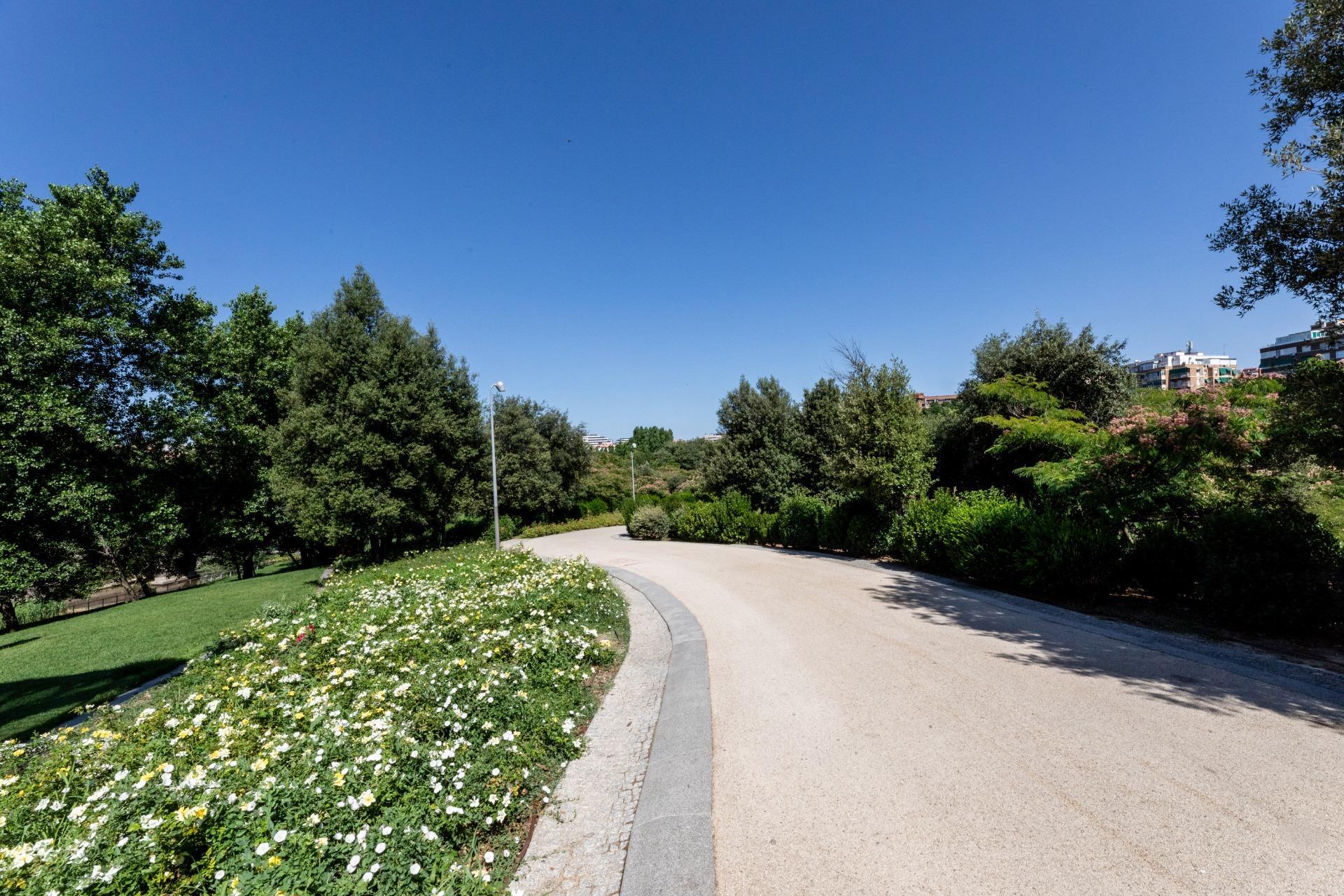 Pisos-Venta-Madrid-1767620-Foto-22
