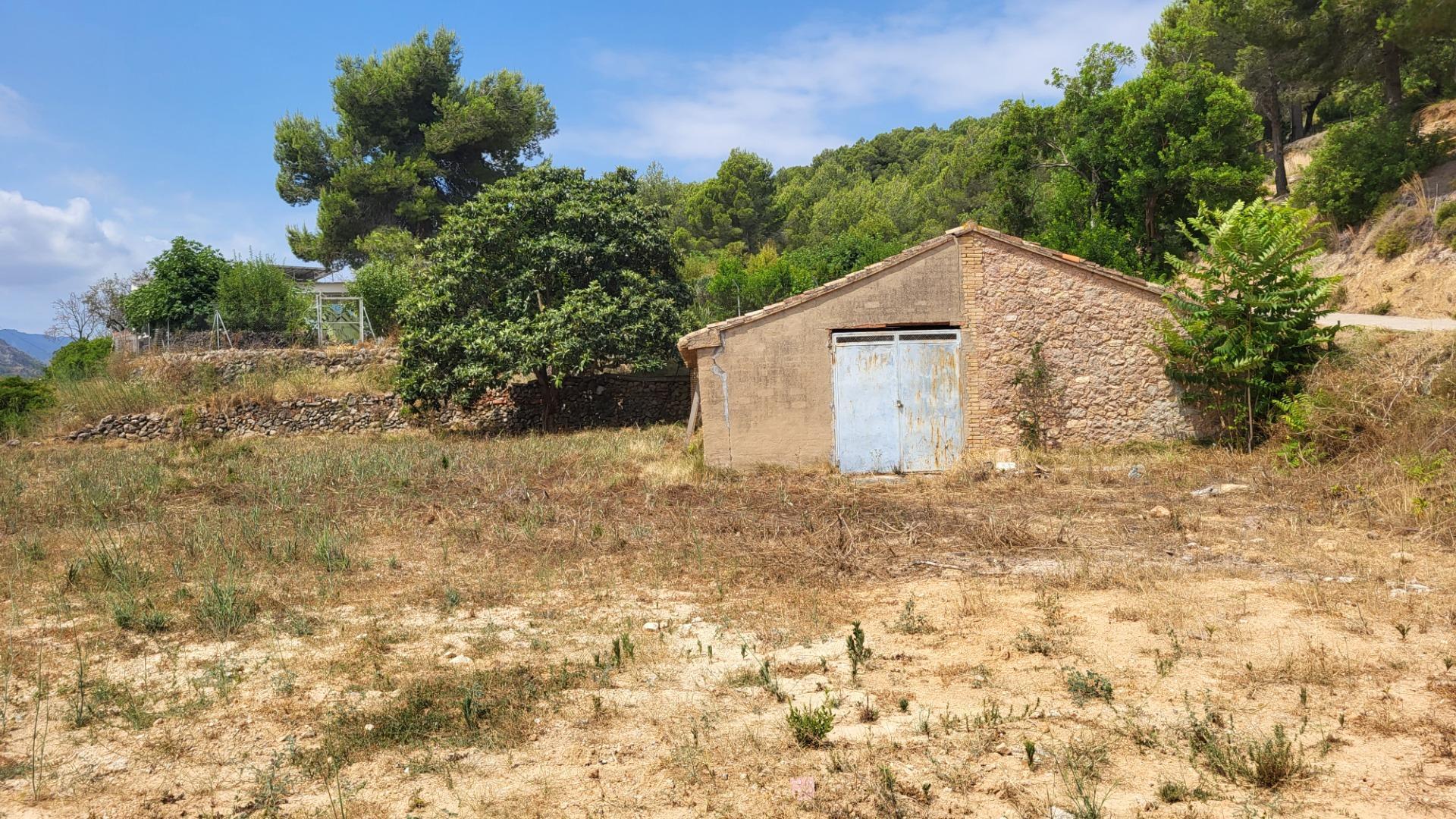 Fincas y solares-Venta-Montichelvo-1767665-Foto-4
