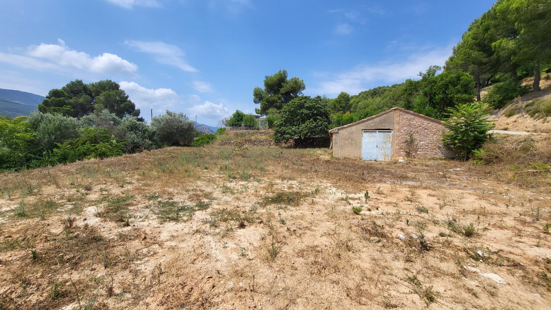 Fincas y solares-Venta-Montichelvo-1767665-Foto-3