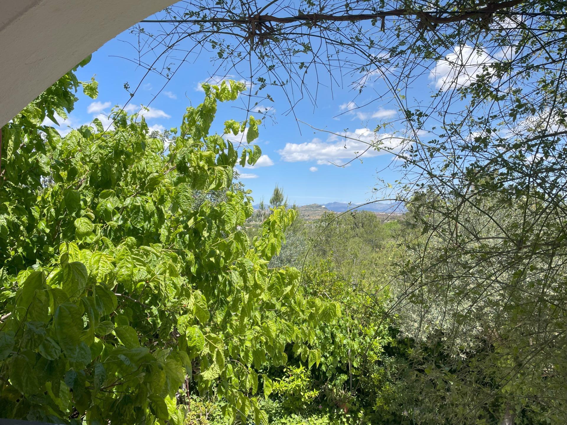 Casas o chalets-Venta-Vilamarxant-1724079-Foto-30