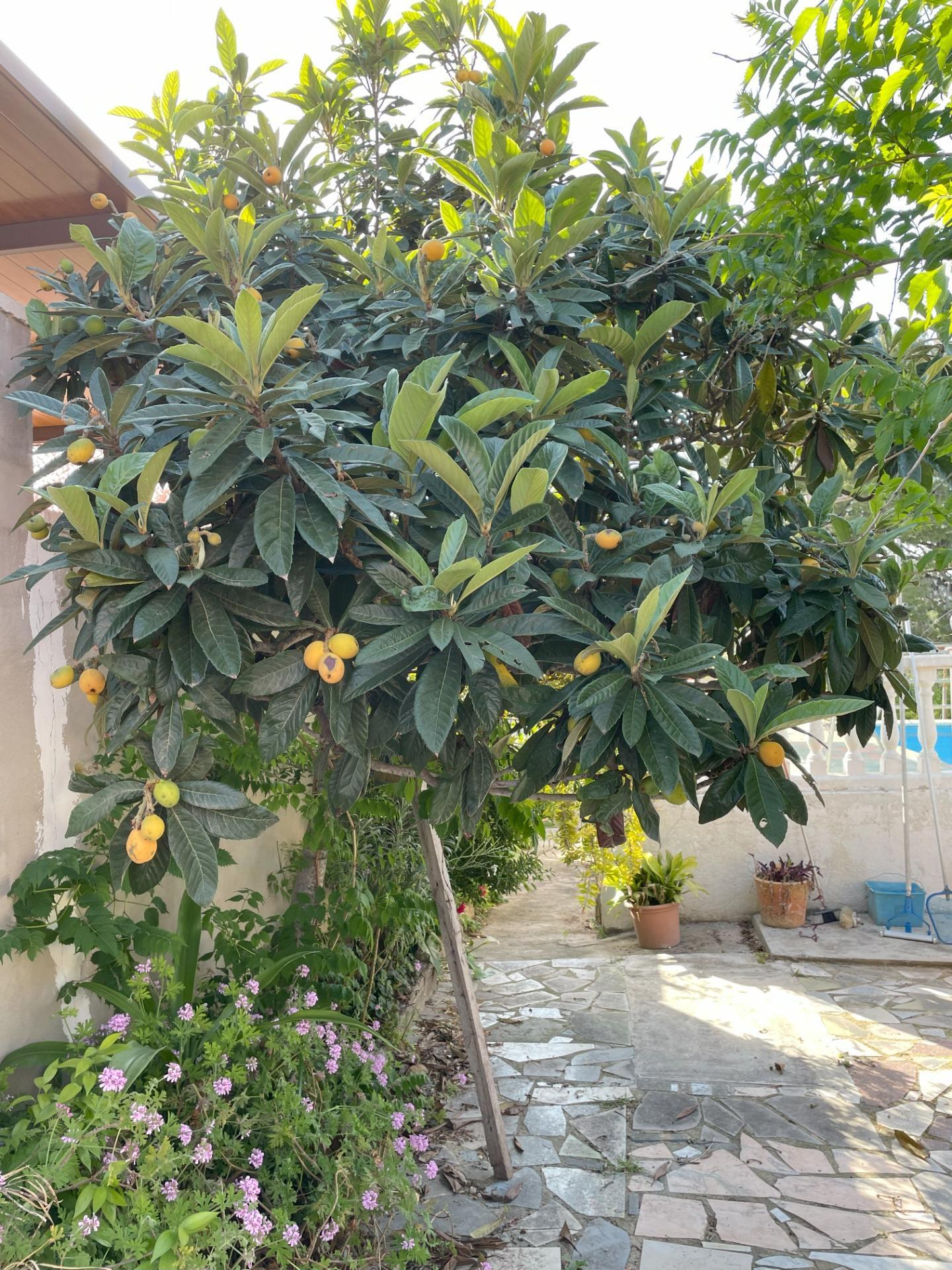Casas o chalets-Venta-Vilamarxant-1724079-Foto-29